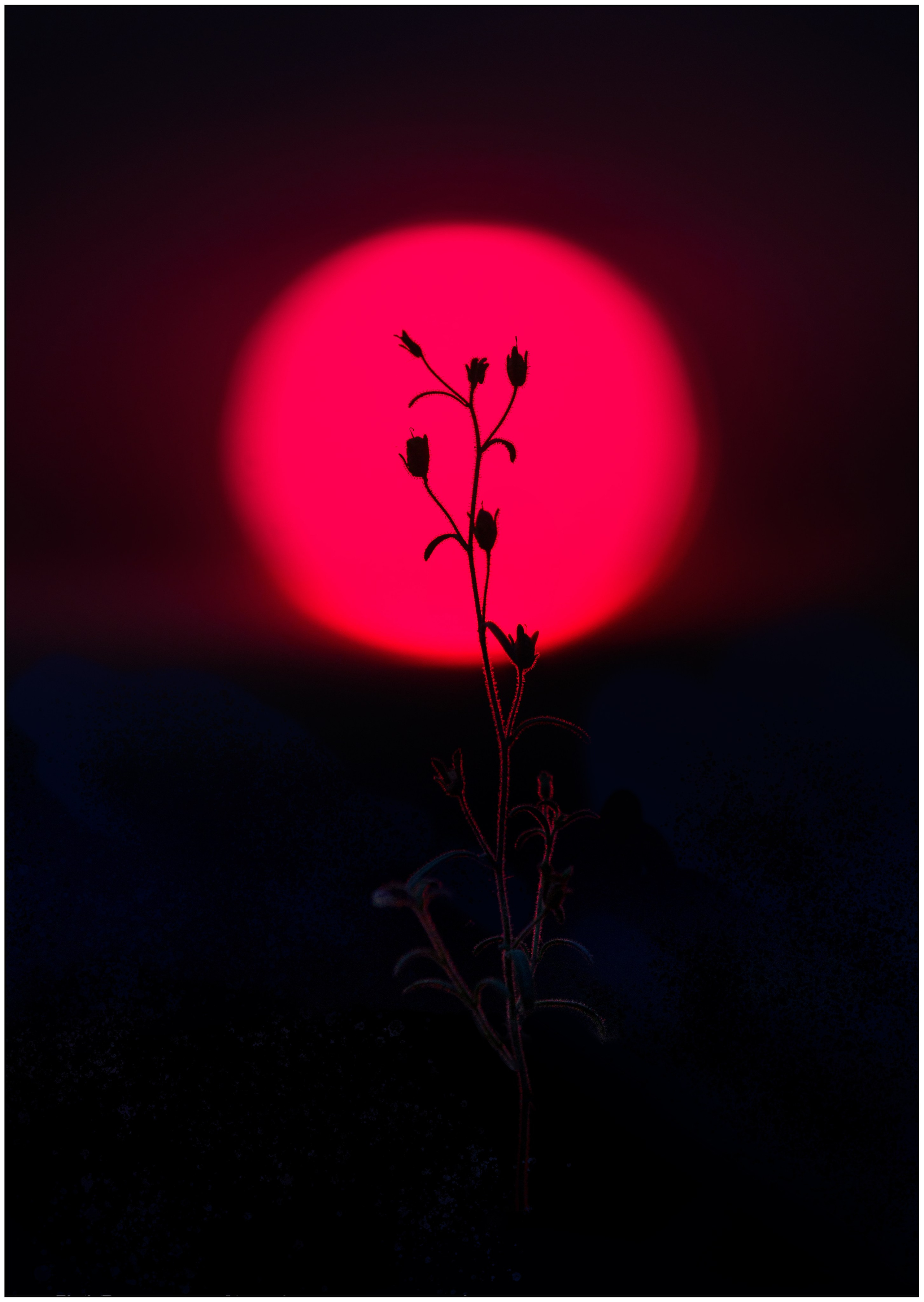 Стрит и пейзажи. Главная