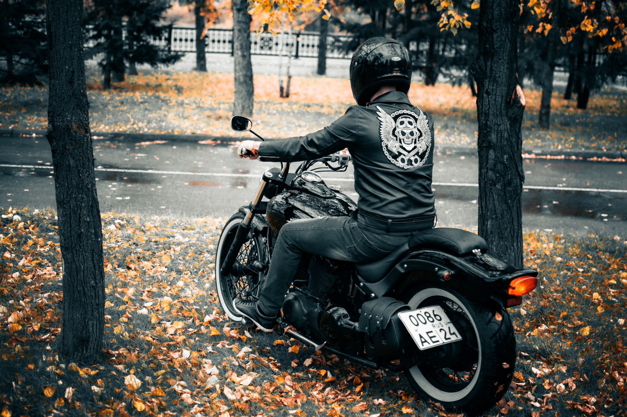 Последние дни осени. G G L V D M T R | Фотограф в Красноярске