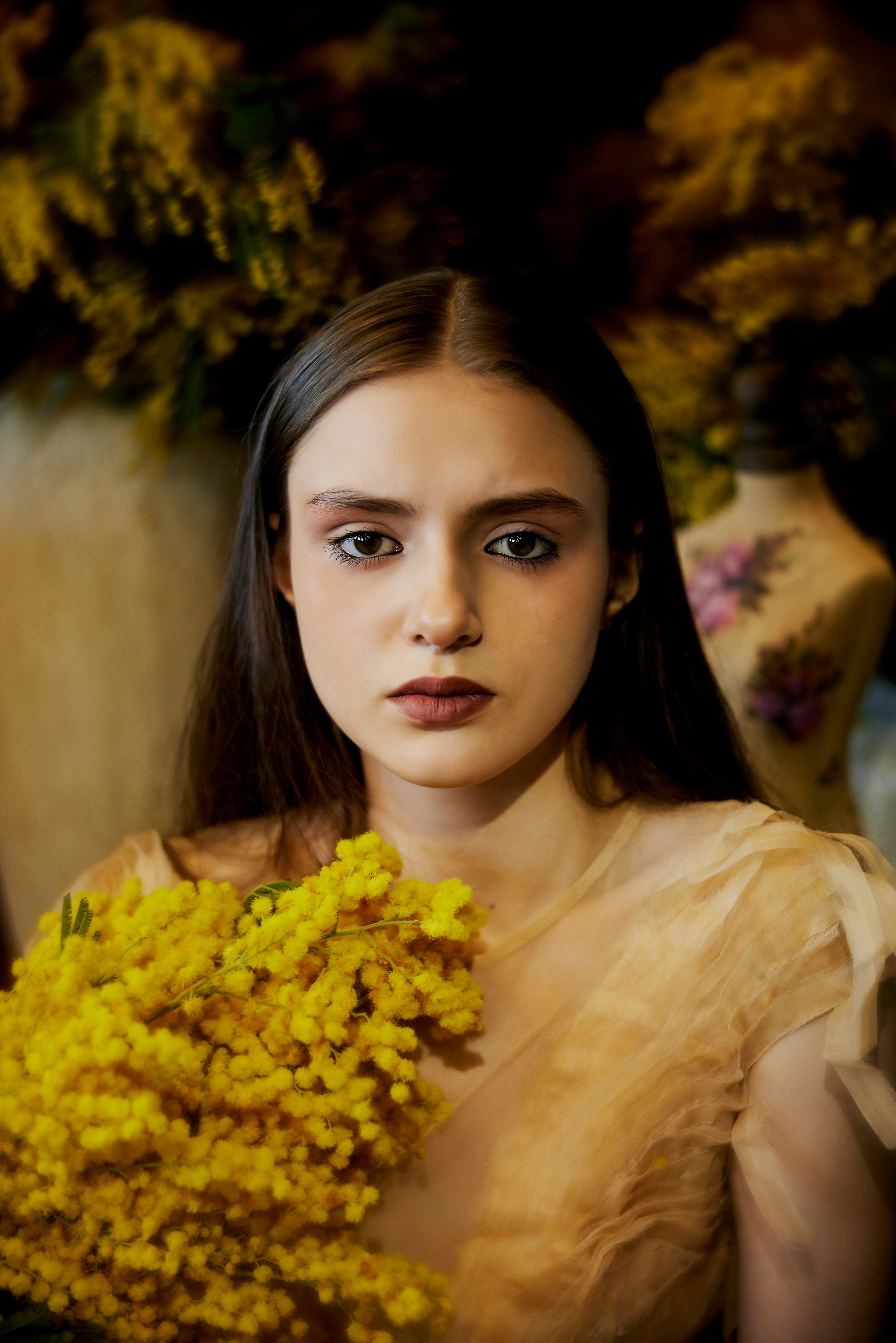 Мимоза. Сергей Ирклиенко