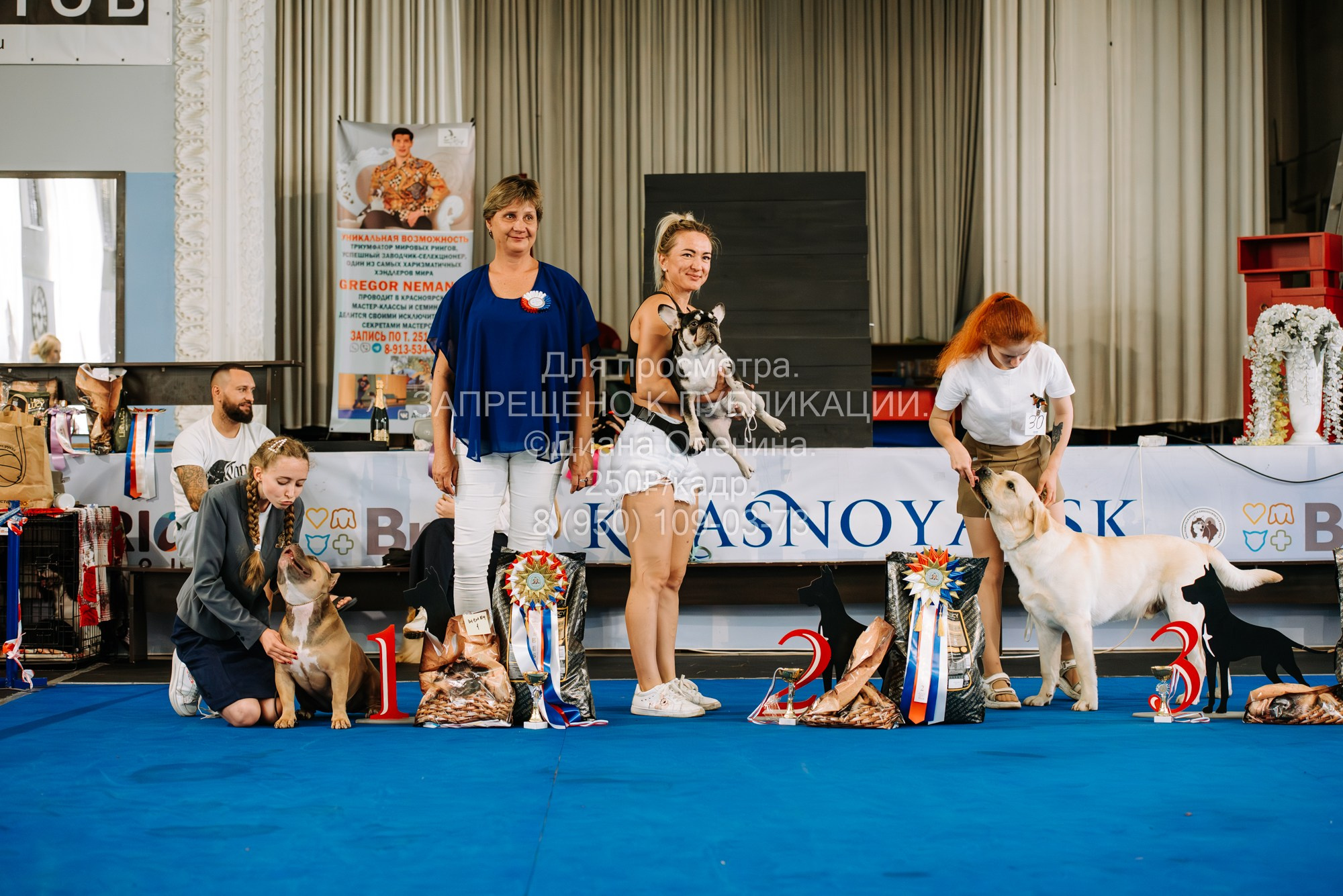 Национальная выставка собак всех пород ранга САС-IKU «Кубок Красноярск. Фотограф Диана Оленина Красноярск / Братск