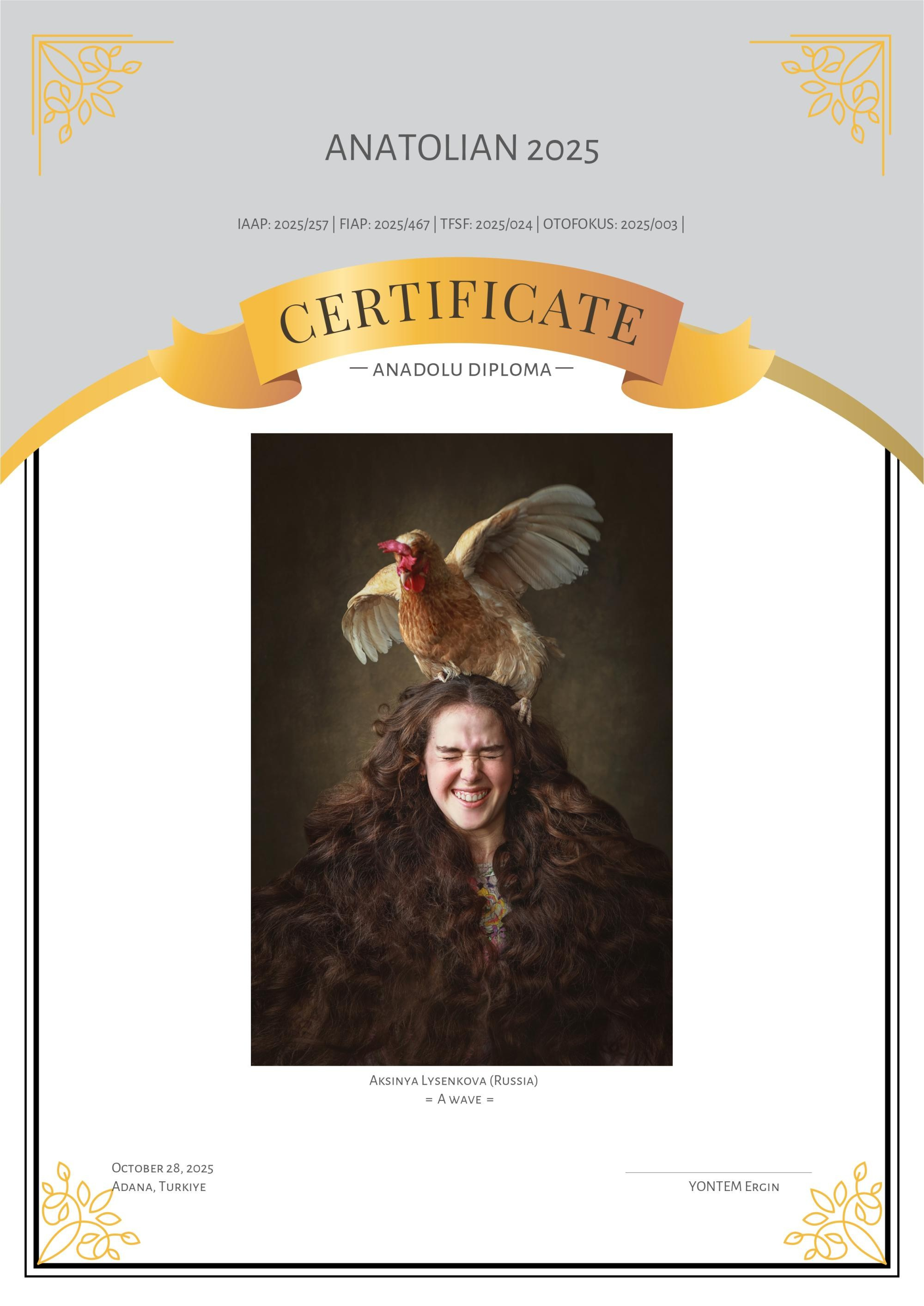 Дипломы. Детский, семейный фотограф в Ижевске и Москве Аксинья Лысенкова ADEN