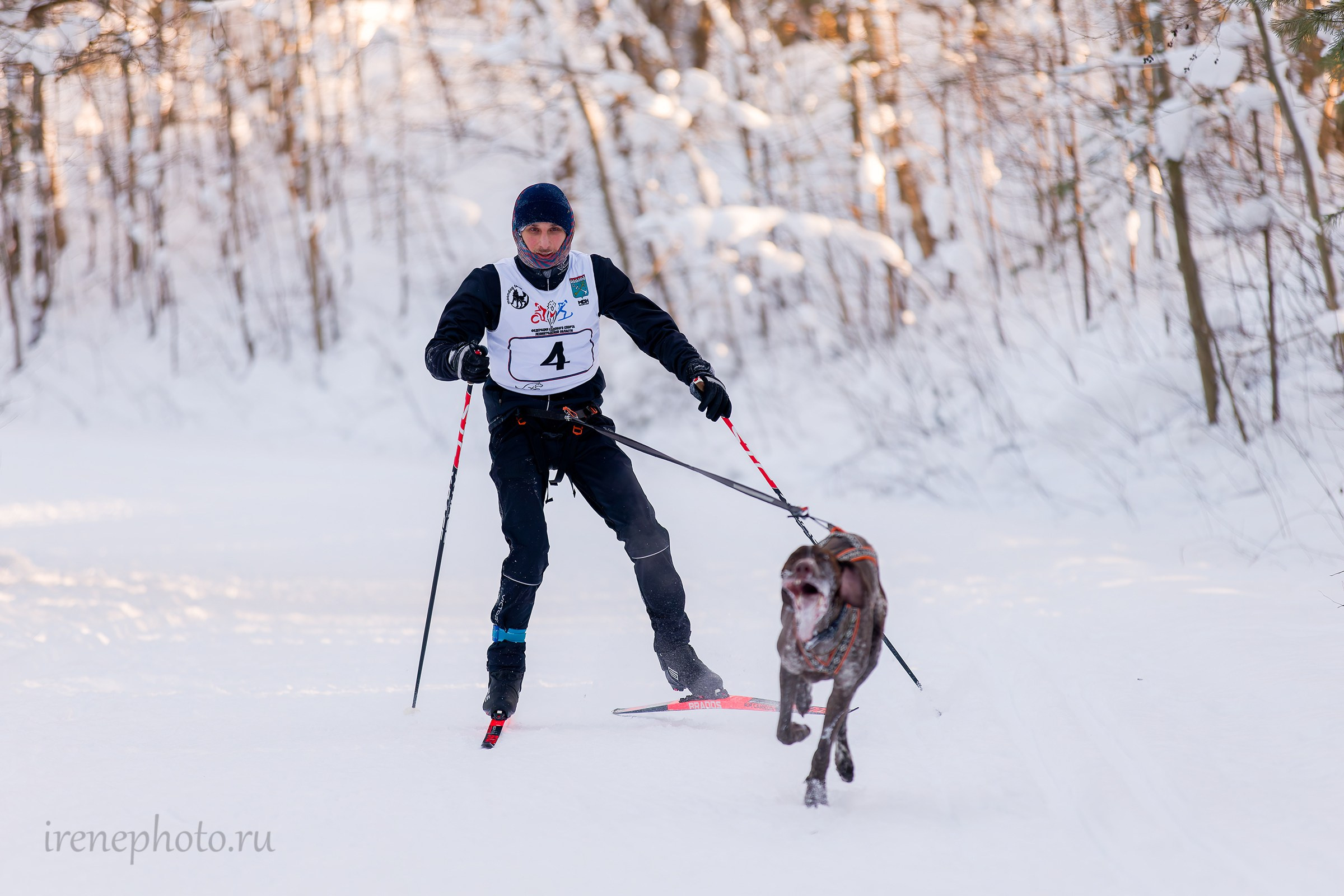 Чемпионат и Первенство Ленобласти — зима 2026. Irenephoto.ru