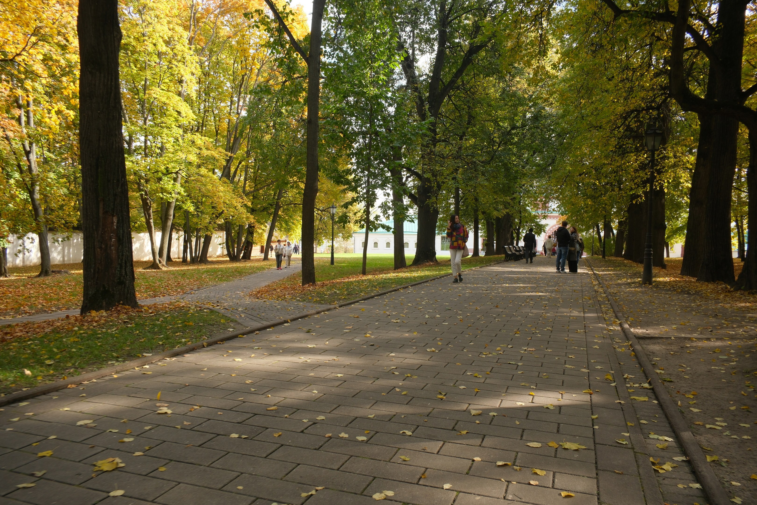 Коломенское 04.10.2025. Улица, люди, жизнь…