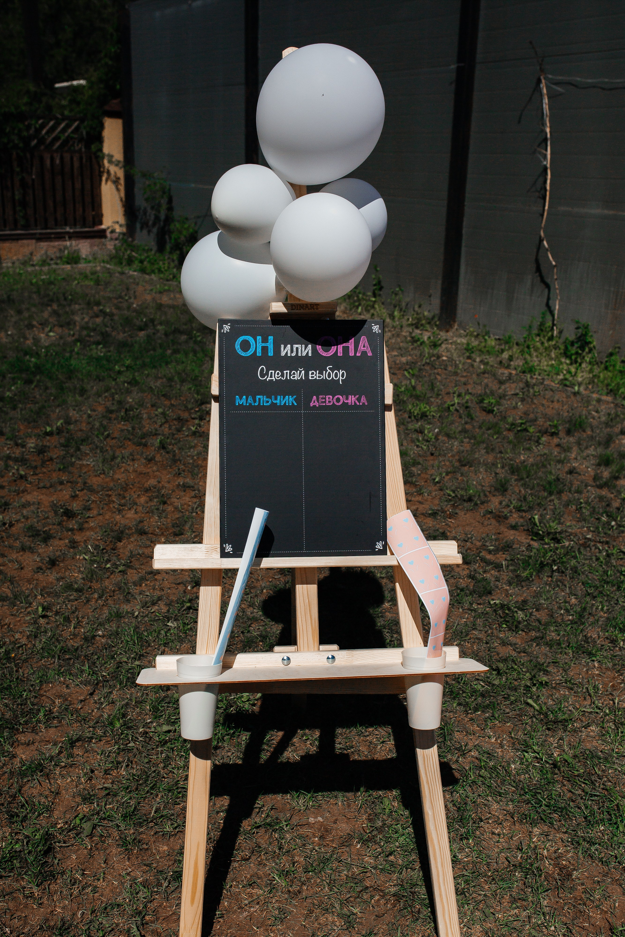 Гендер Пати