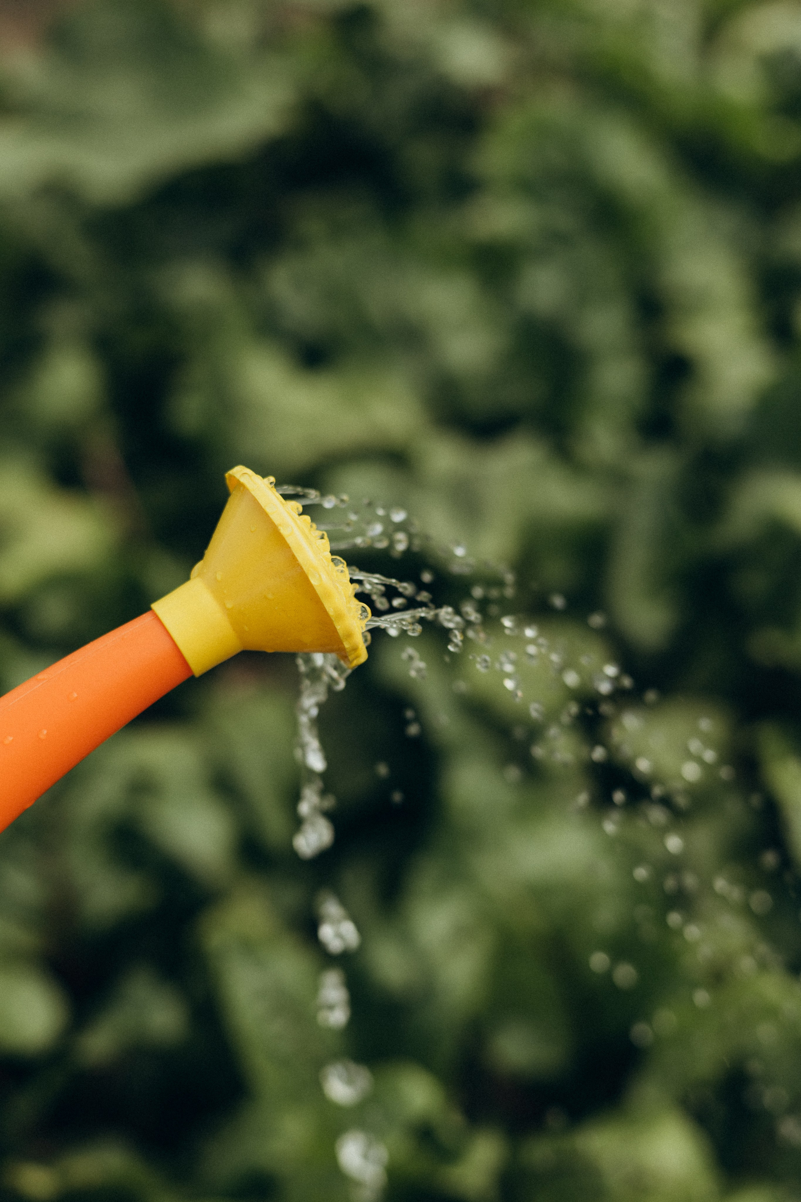 Хорошо в деревне летом…♡. Фотограф в г. Чита