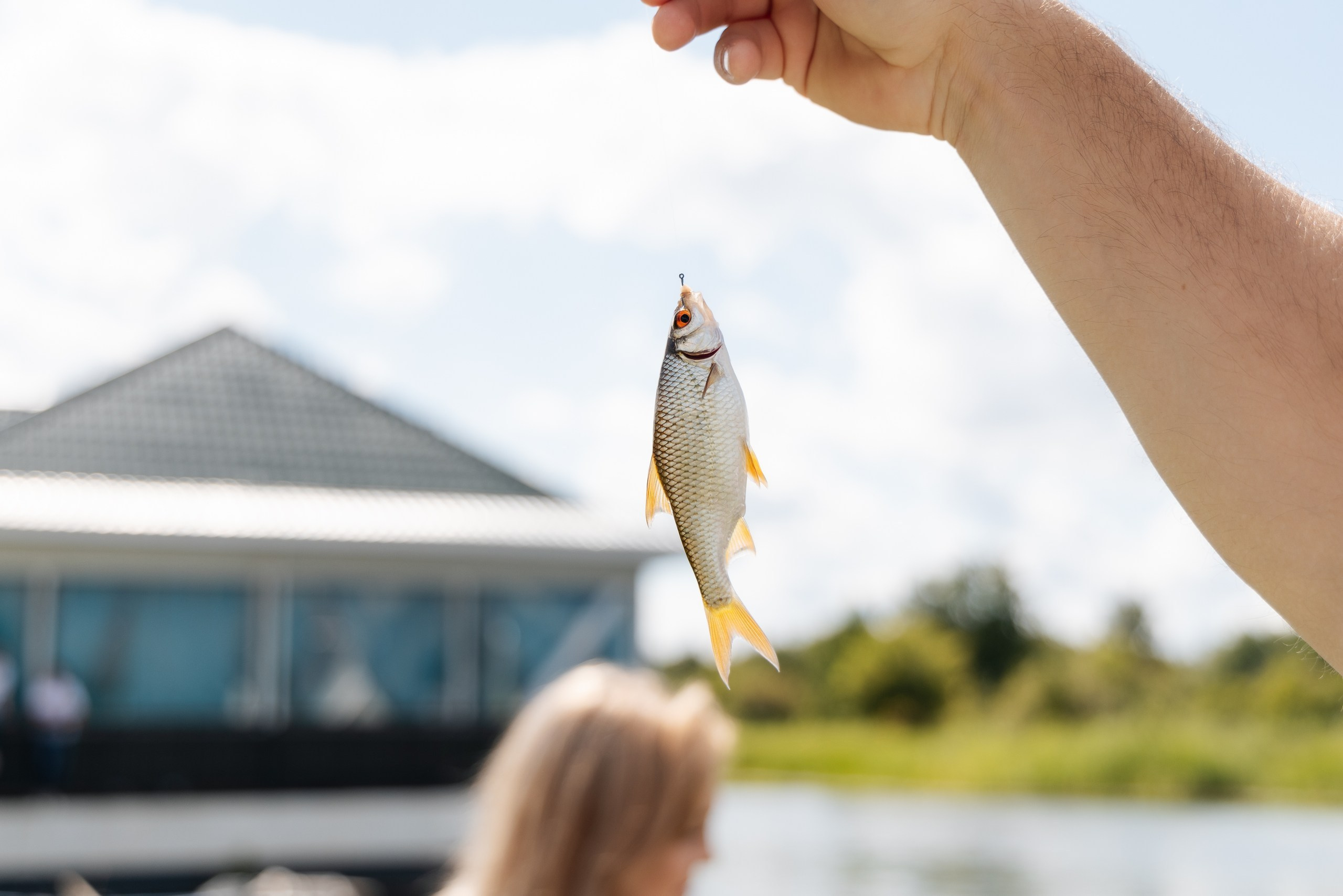 Трейдсан | Корпоратив 12 лет. Свадебный и репортажный фотограф в Воронеже Сергей Максимов