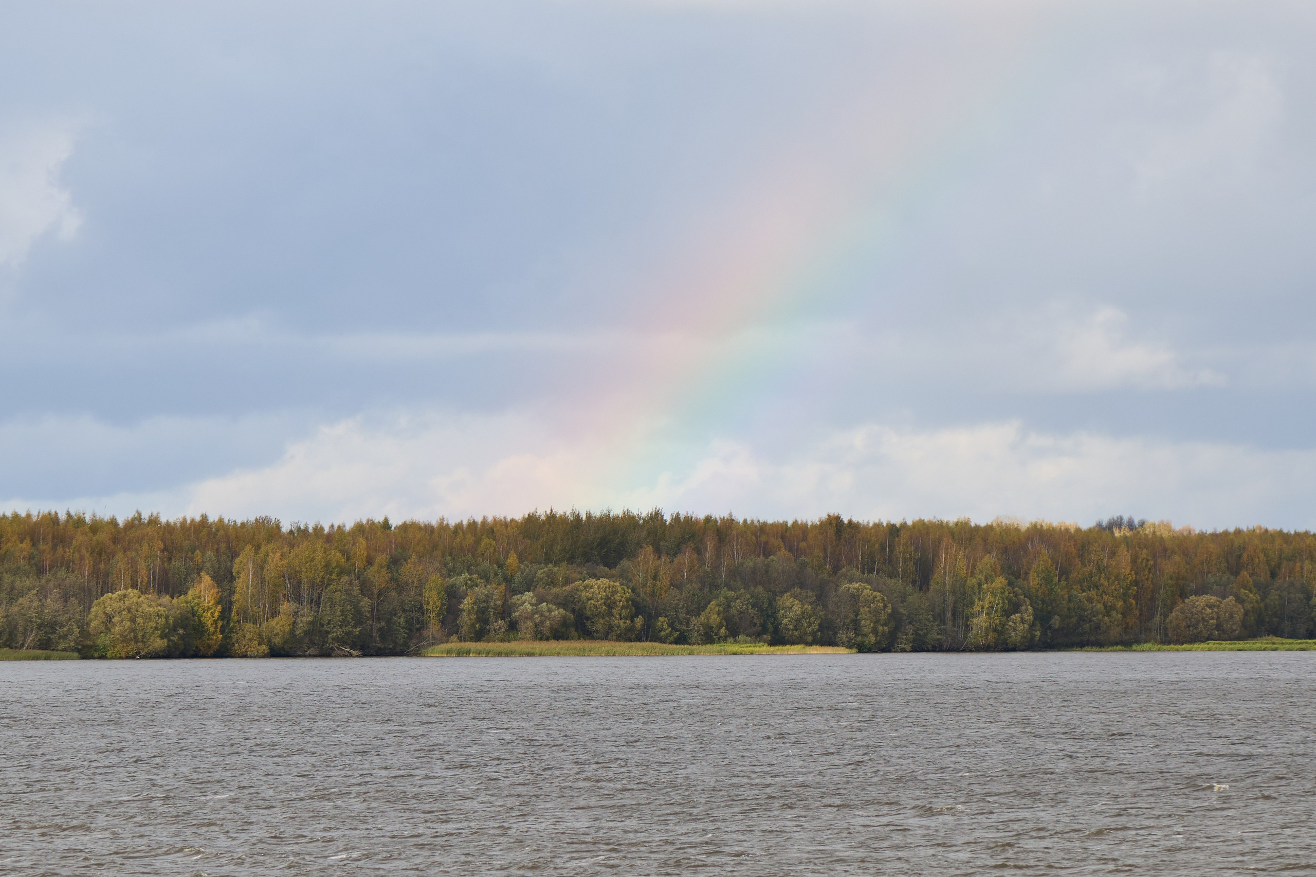 Пейзажи. Свадебный и репортажный фотограф в Воронеже Сергей Максимов