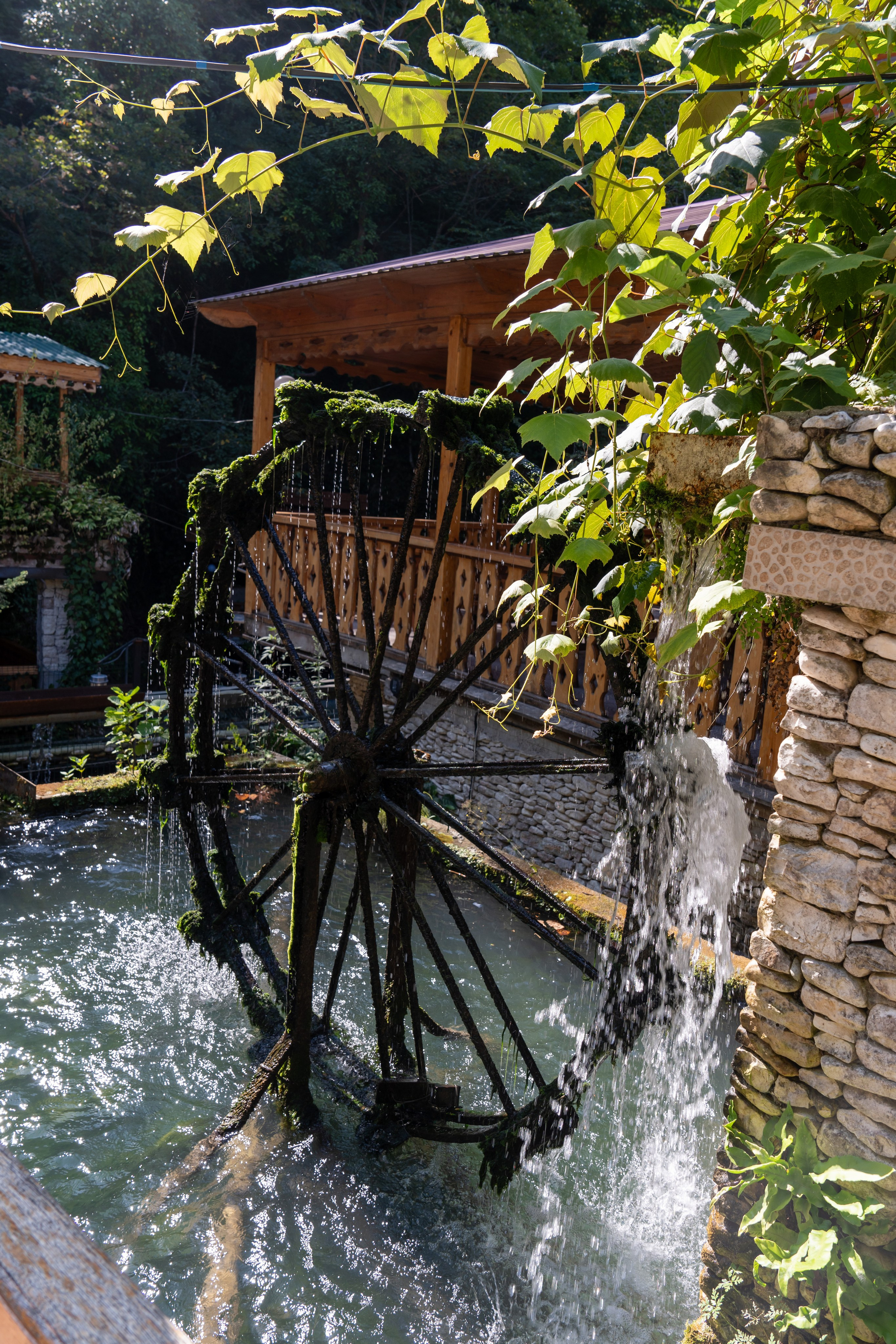 Mice мероприятие — тур по Абхазии. Репортажный фотограф в Красной Поляне и Сочи Павлюченко Екатерина