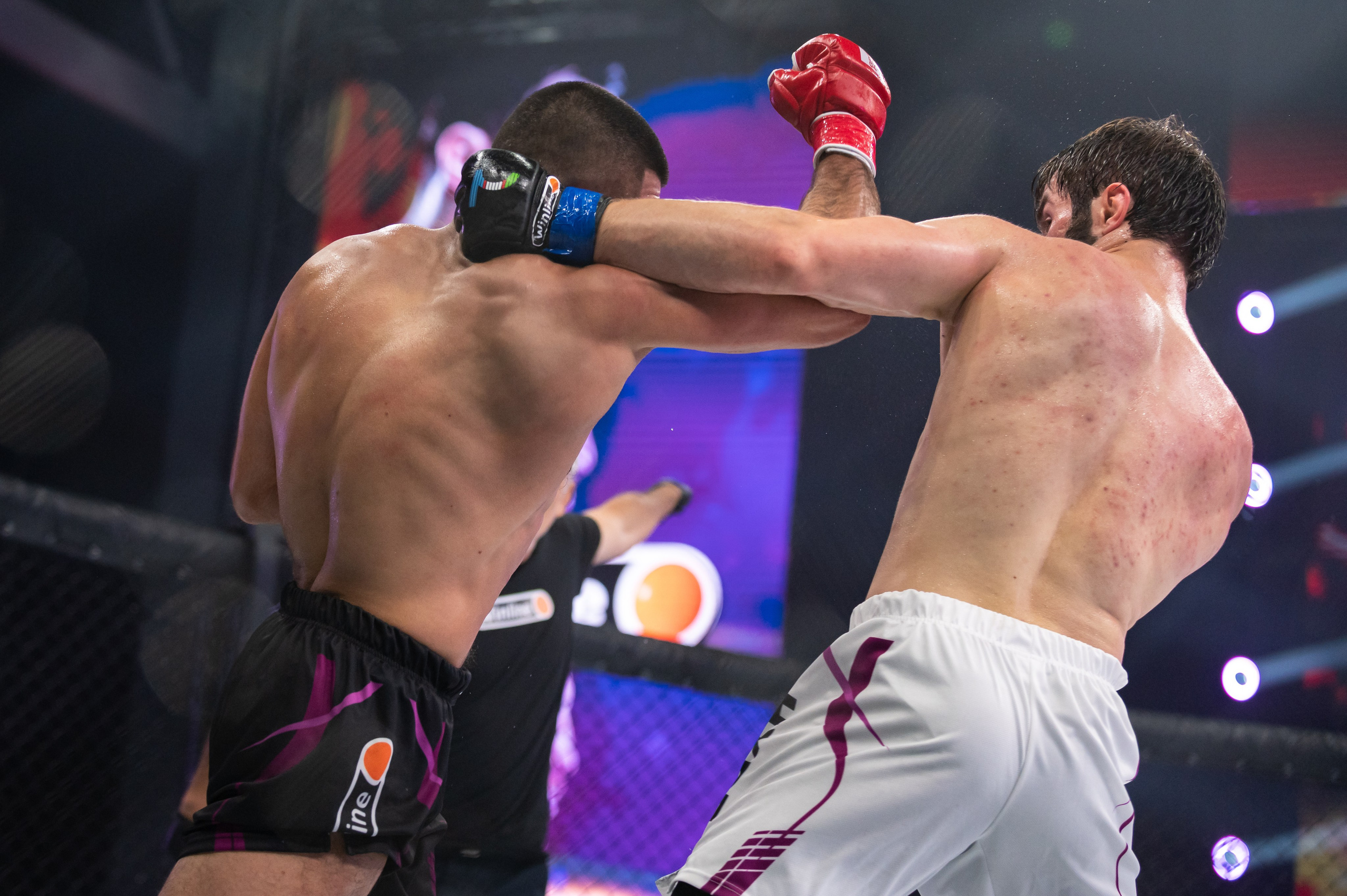 Бои. Репортажный фотограф в Красной Поляне и Сочи Павлюченко Екатерина