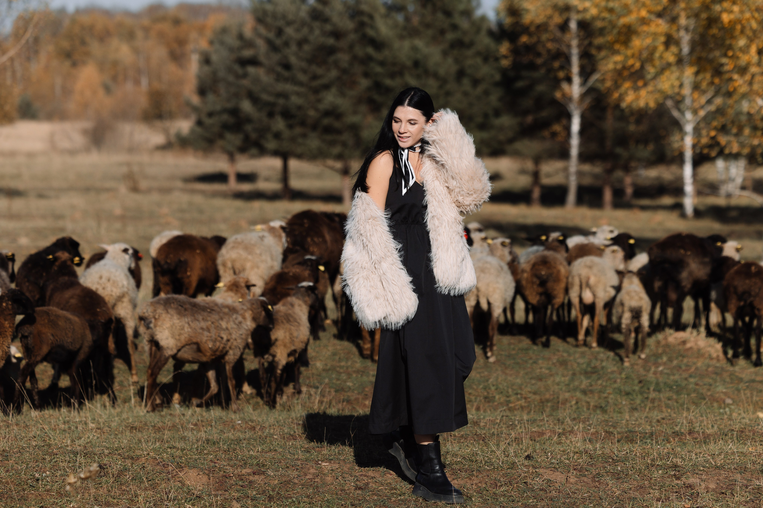 Охота на овец