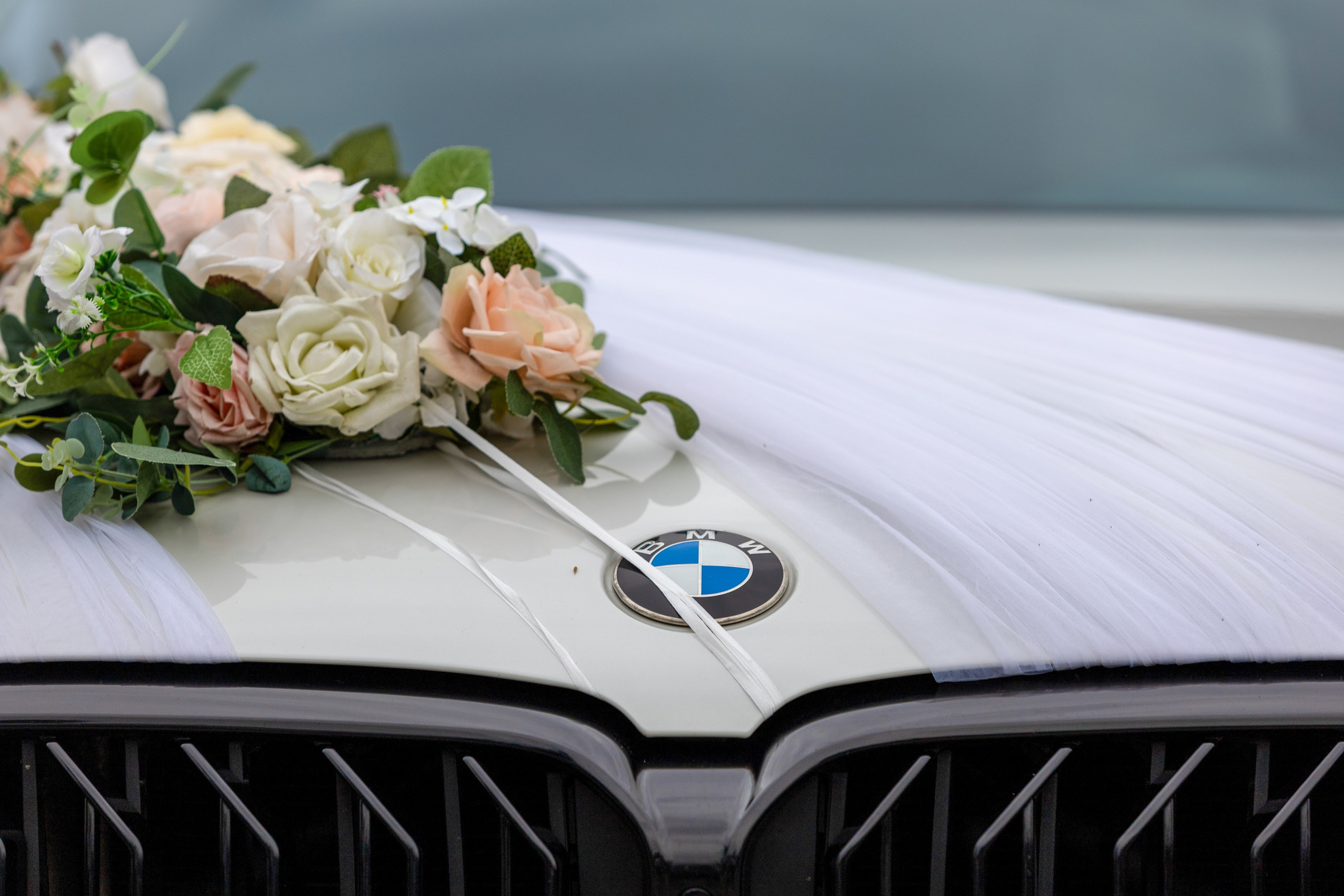 Прогулка Мурад и Екатерина. Репортажный фотограф Анапа