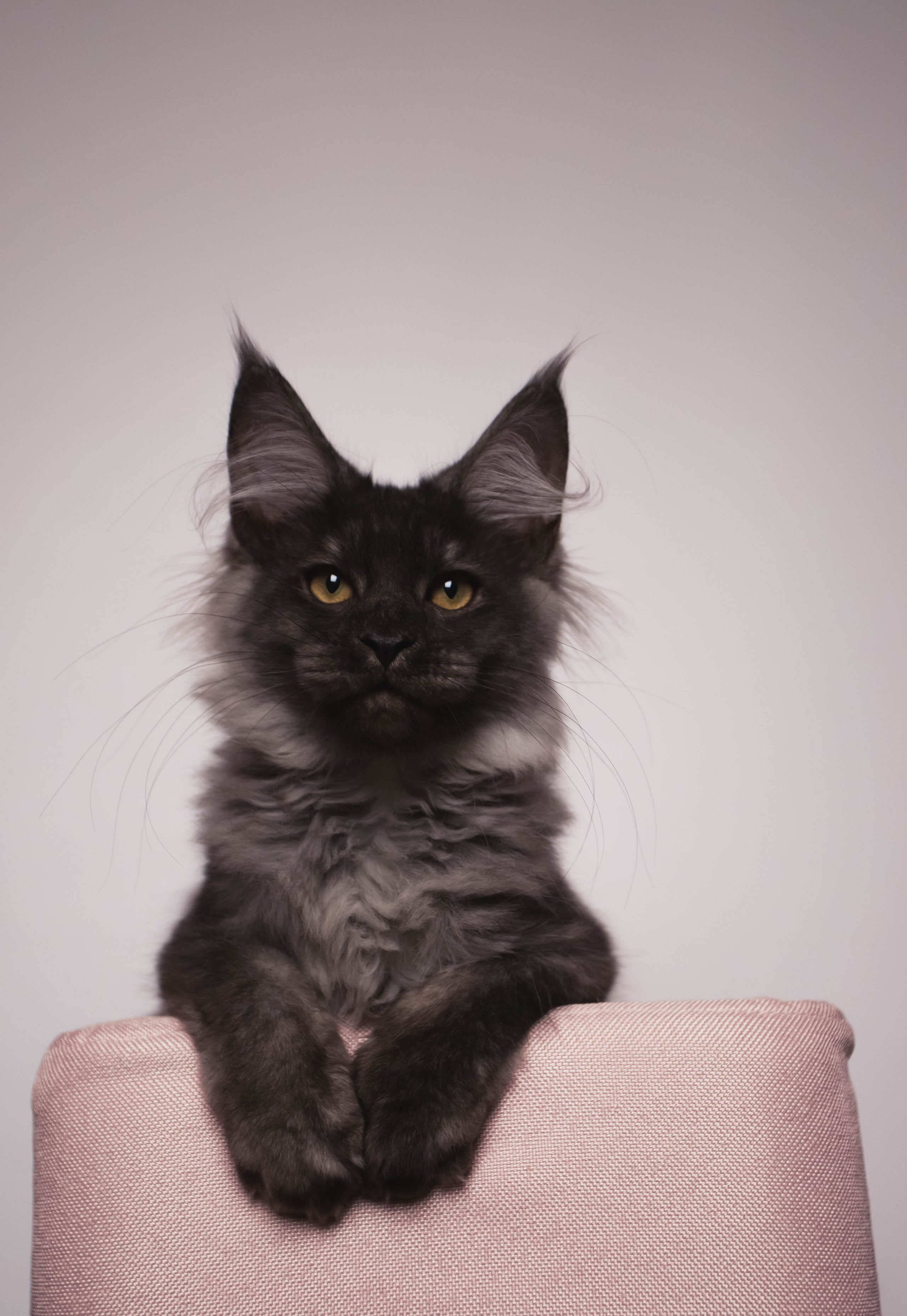 HanFors. Женский и предметный фотограф