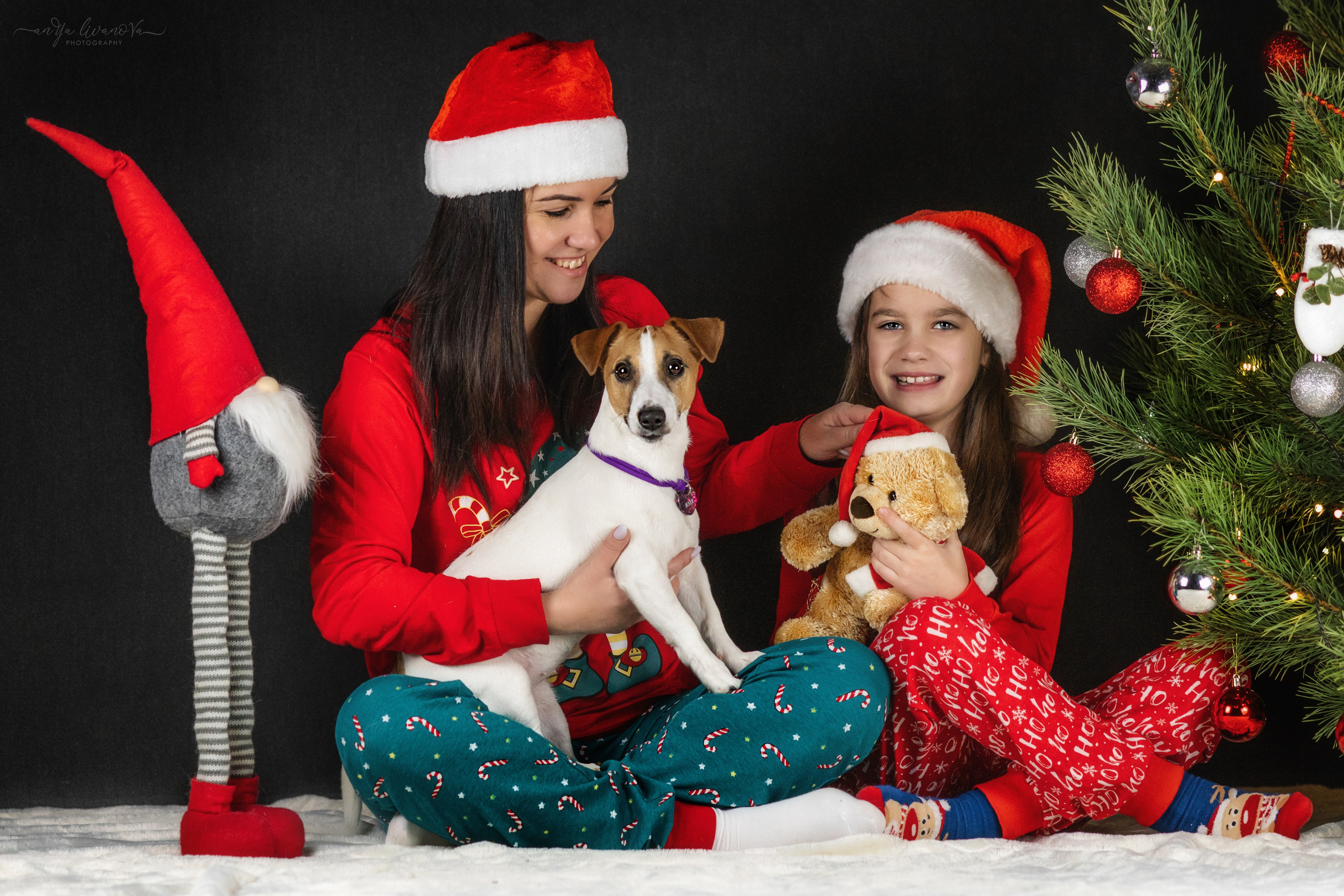 Новогодняя атмосфера в «Simply the Best». Фотограф анималист Аня Ливанова | Рыбинск