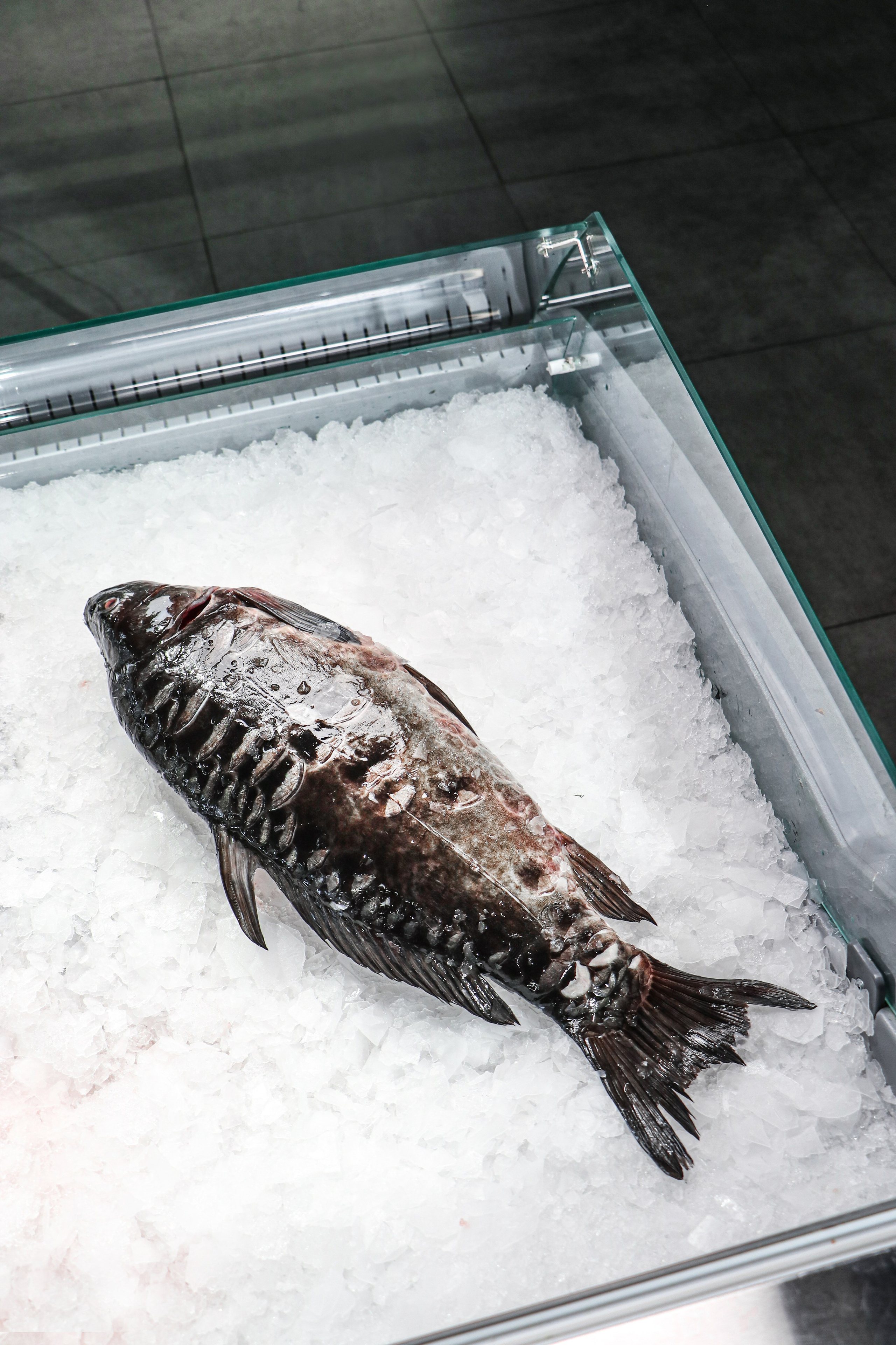 «Рыбный День» сеть магазинов. Контент фотограф Дмитрий Борисов