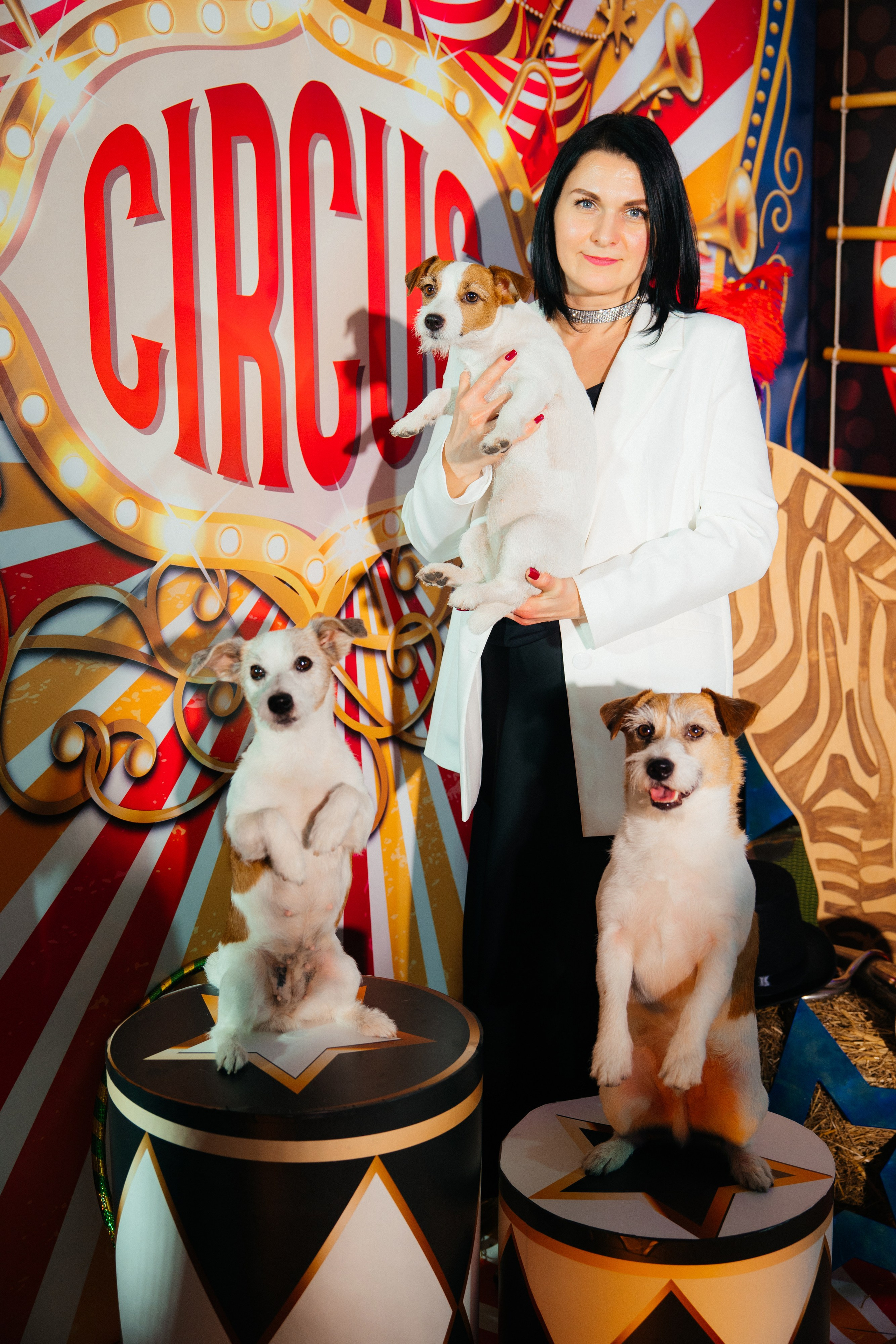 Корпоратив Цирк. Свадебный фотограф Минск РБ