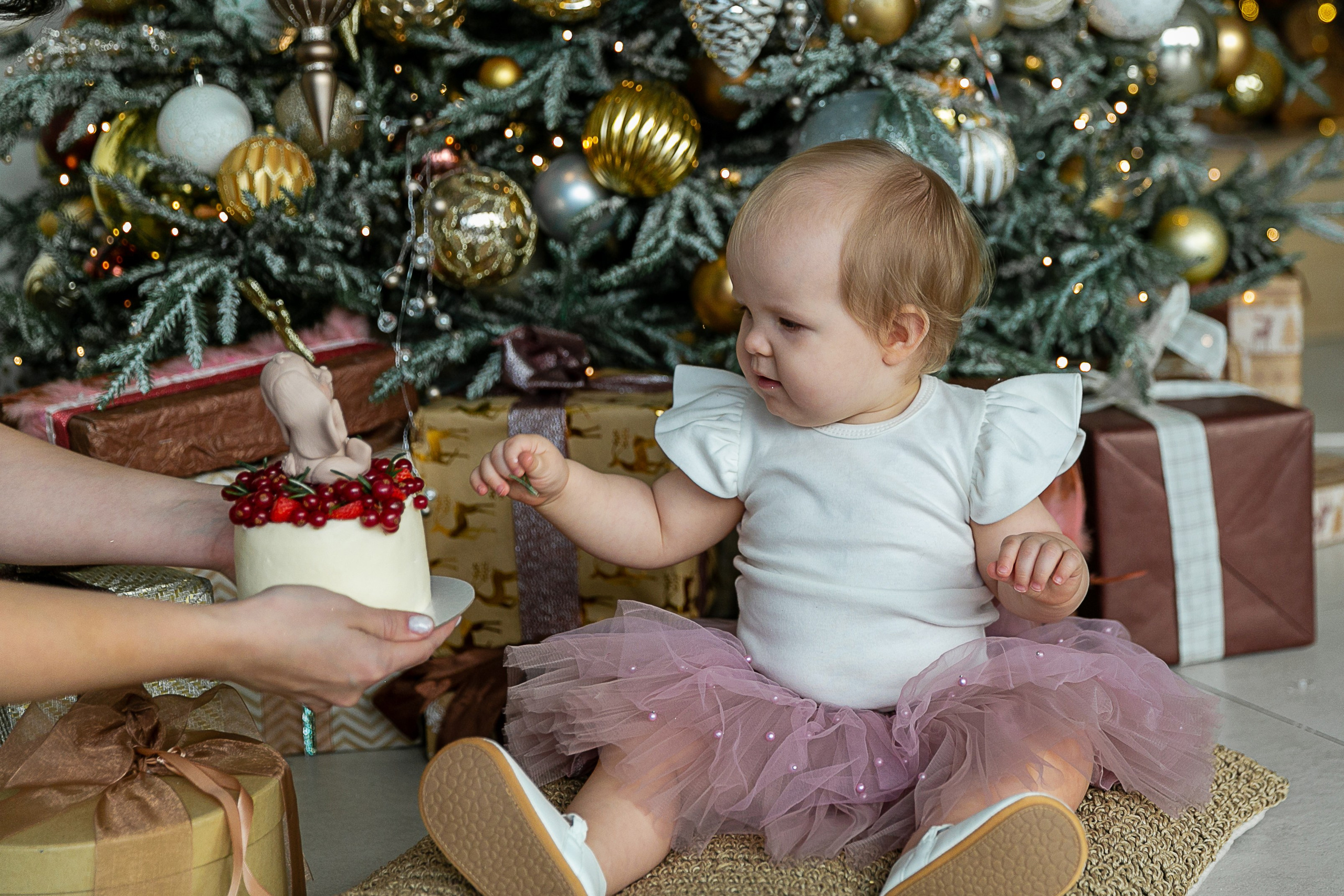 Евангелина Юля и Петр. Фотограф Елена Лагода