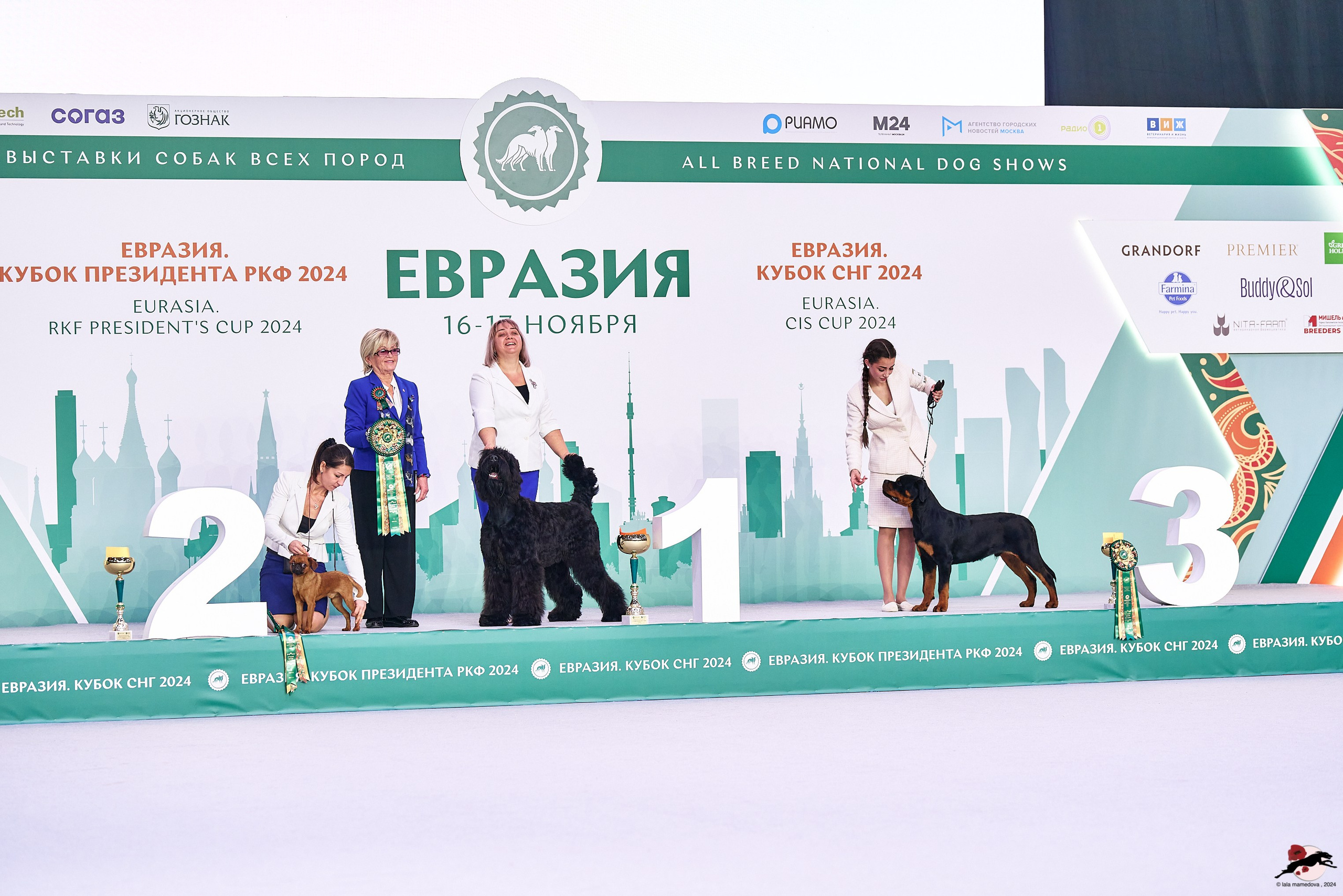 16.11.2024 «ЕВРАЗИЯ. КУБОК ПРЕЗИДЕНТА РКФ 2024»