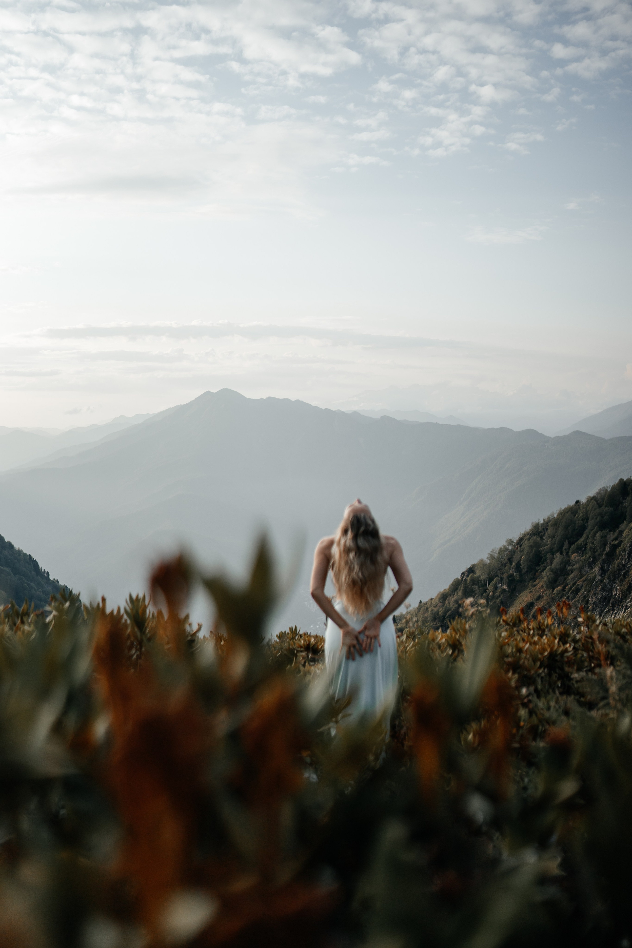 Астра. Главная