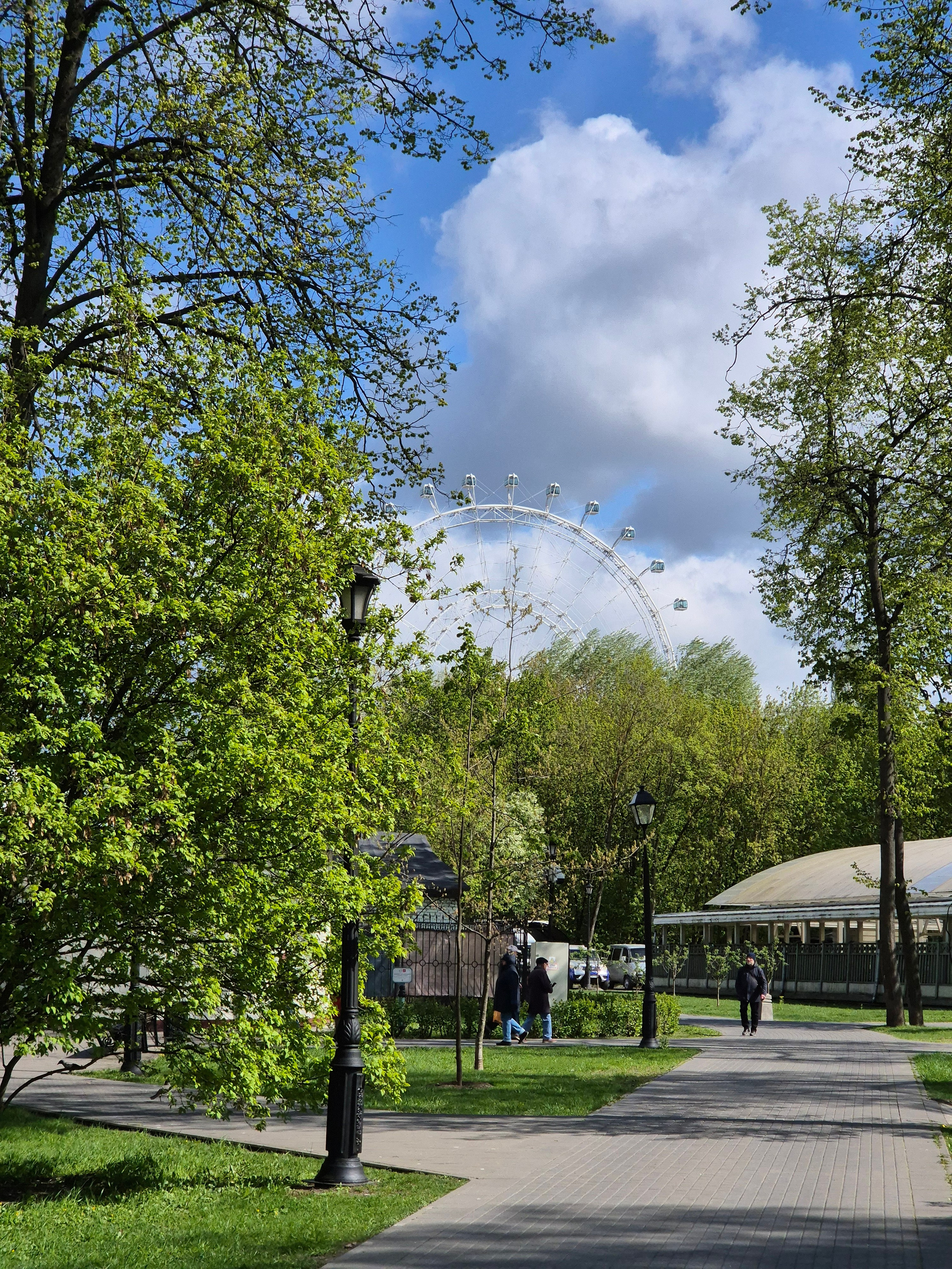 Колесо обозрения на ВДНХ. Парки ВДНХ, Останкинский и Ботанический сад объединили в одну огромную парковую территорию, облагородили. 