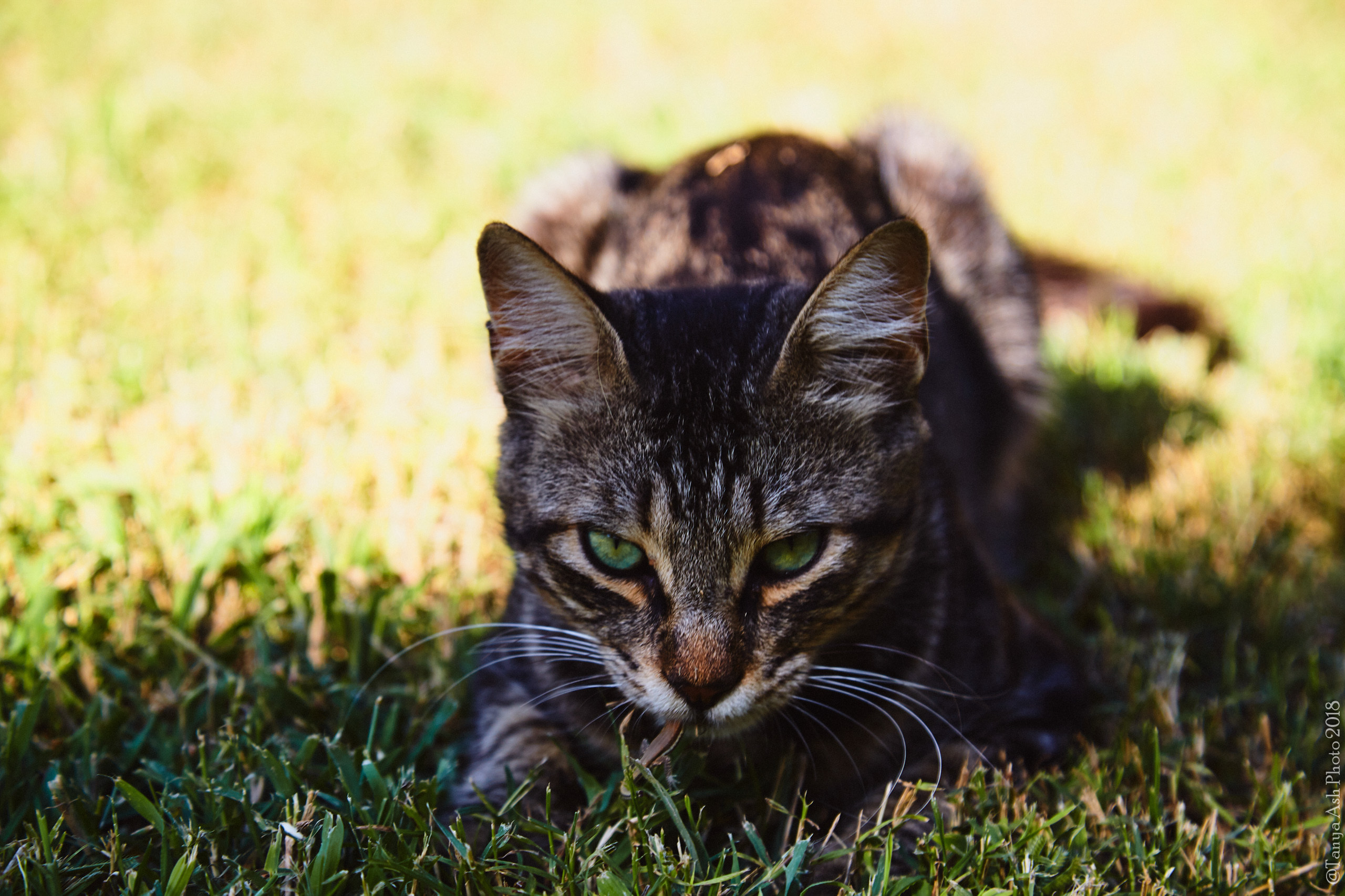 Фотографии Кипра и Пафоса. Photographer Sonkina Tatiana (Tanya Ash)