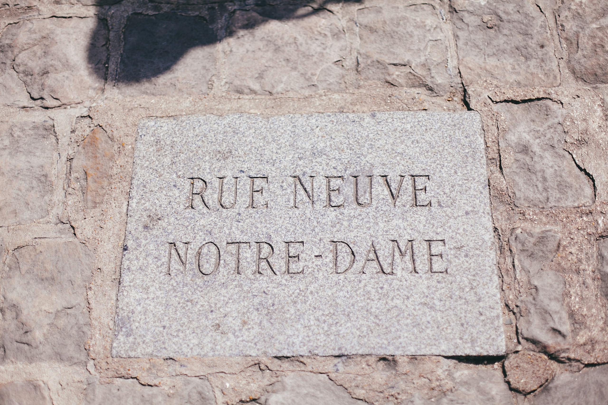 Париж. Аня Степанова