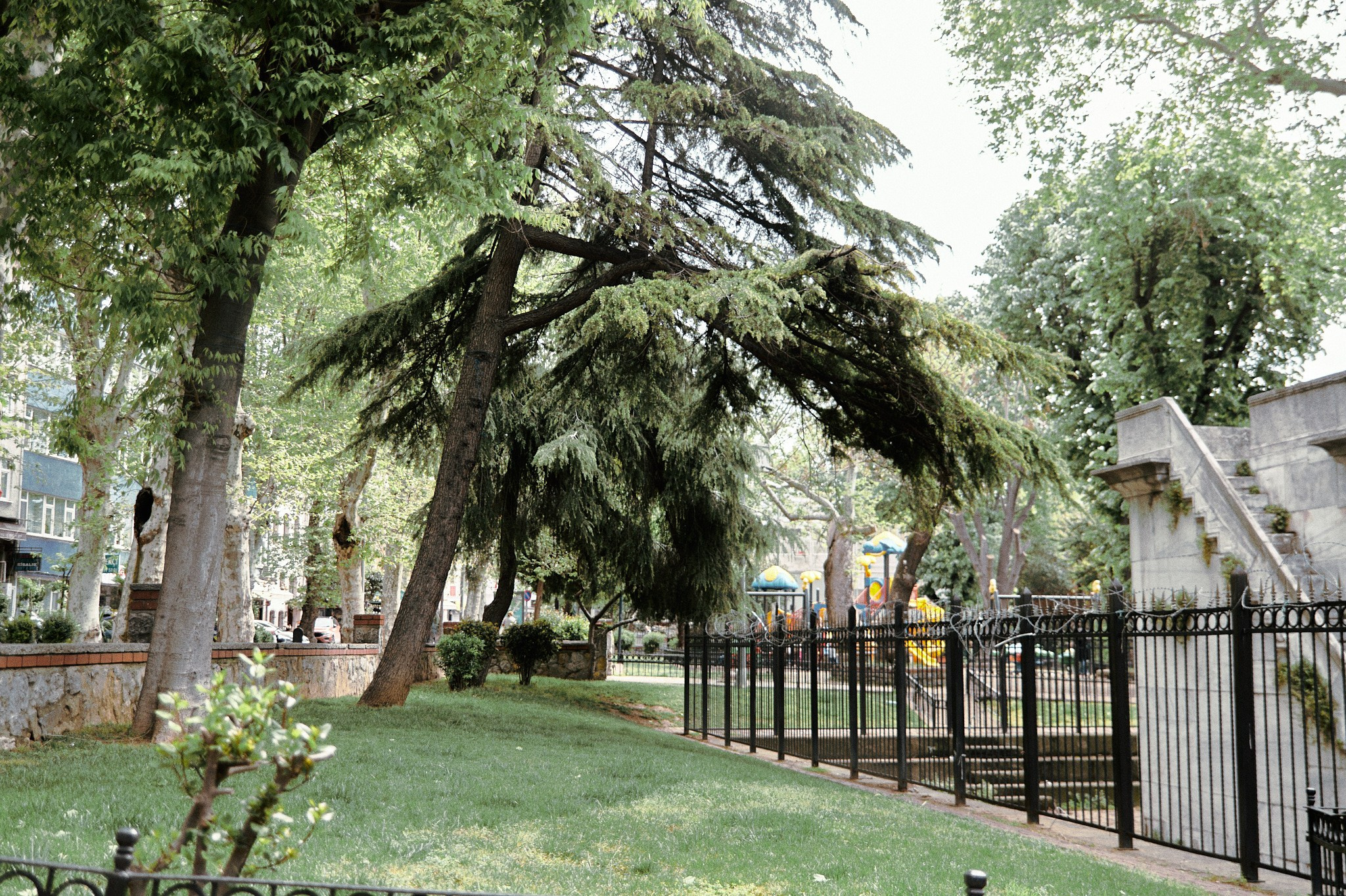 Улица горизонтальная. Jorgis — фотограф в Хургаде / обучение фотографии