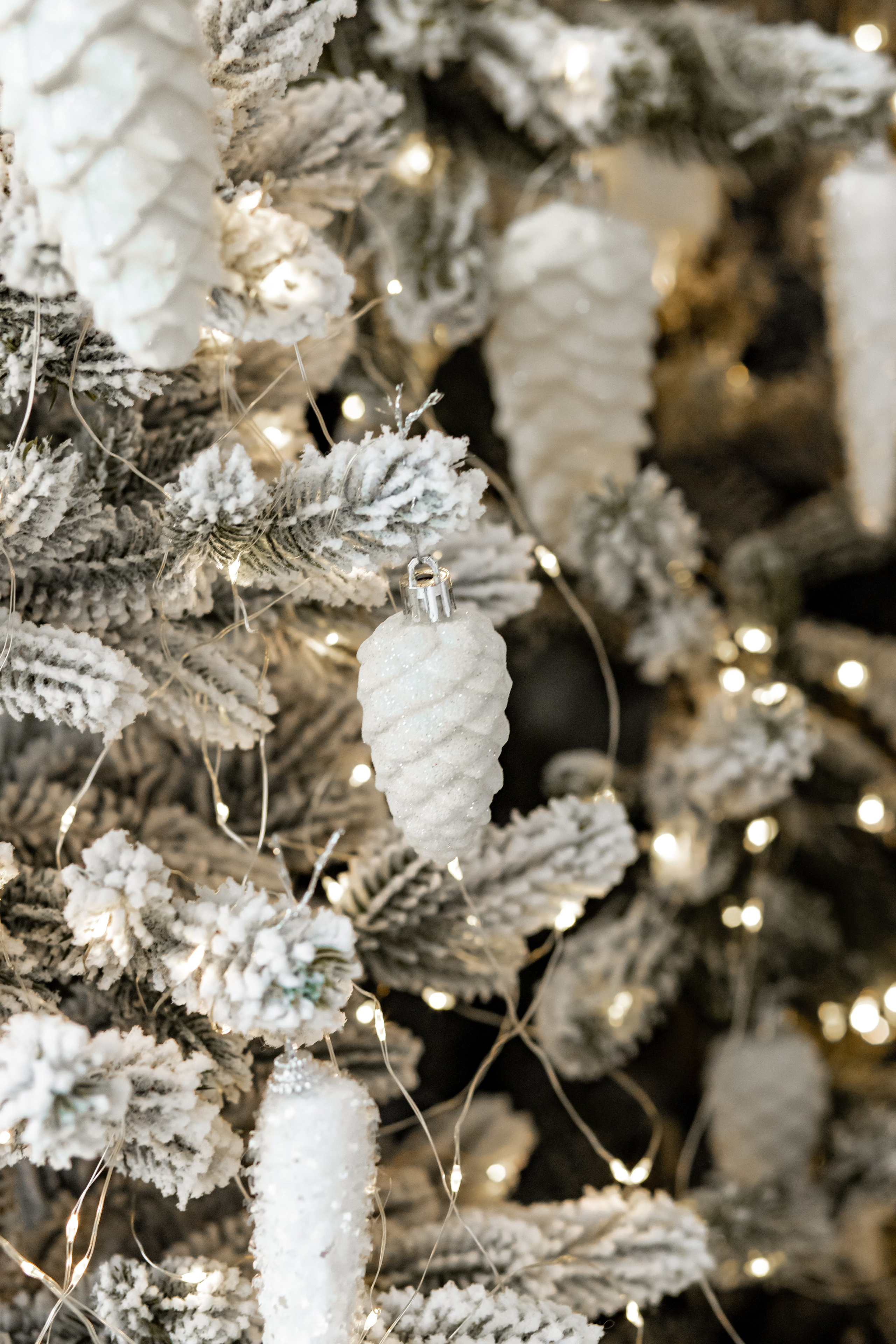 В Атмосфере. Фотограф Белгород