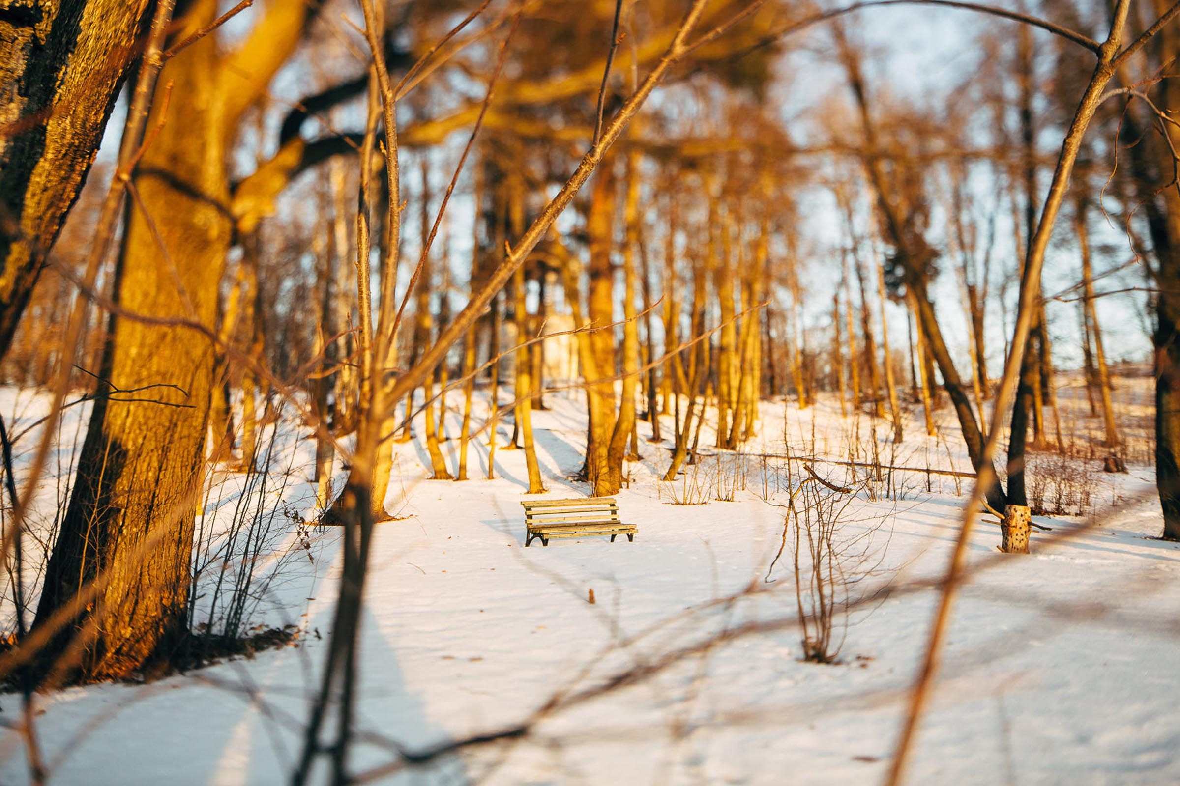 Саша и Настя. Фотограф Константин Пешков