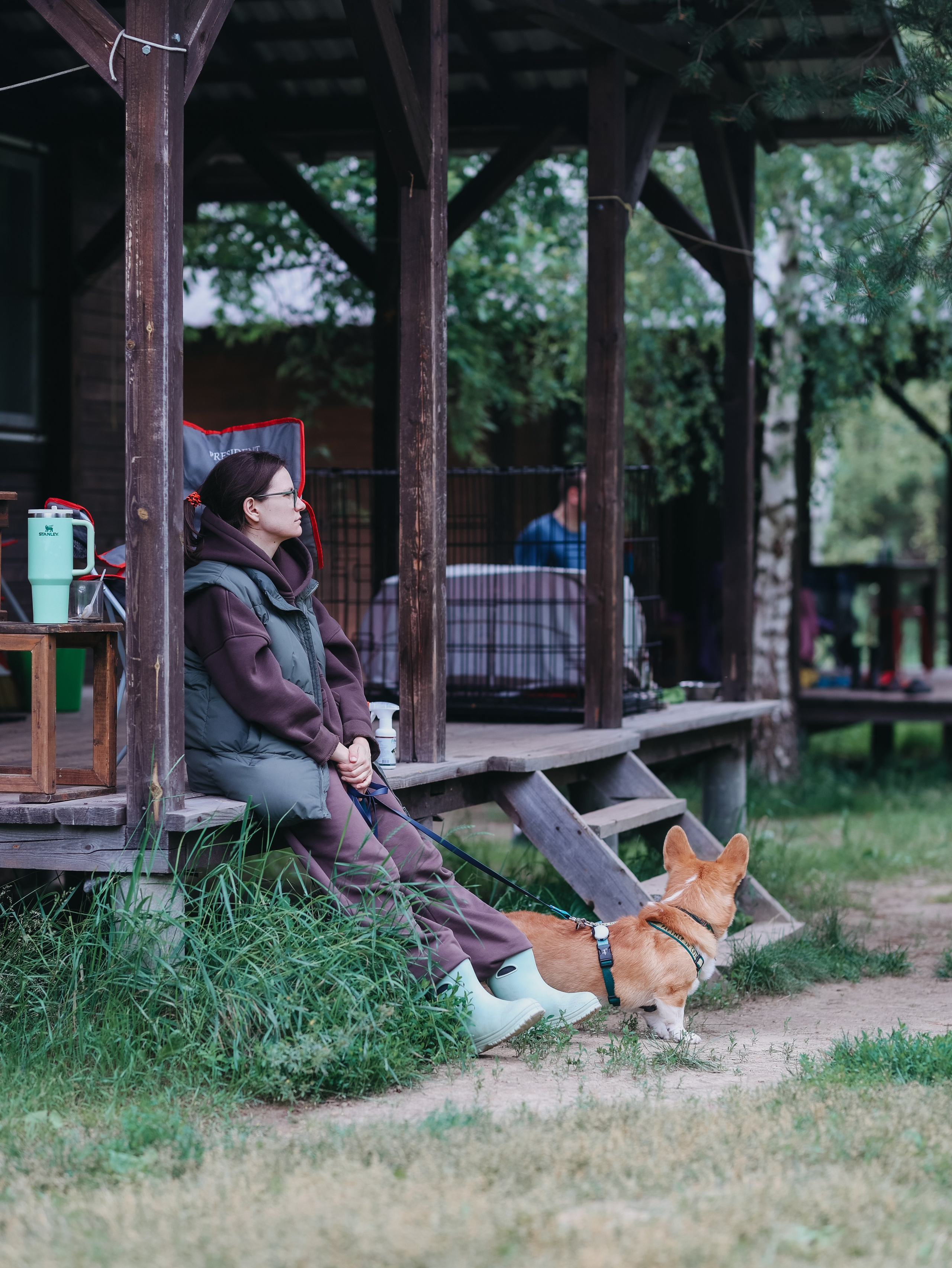 Лагерь ноузворк. Фотограф-анималист в Москве Кириллова Татьяна