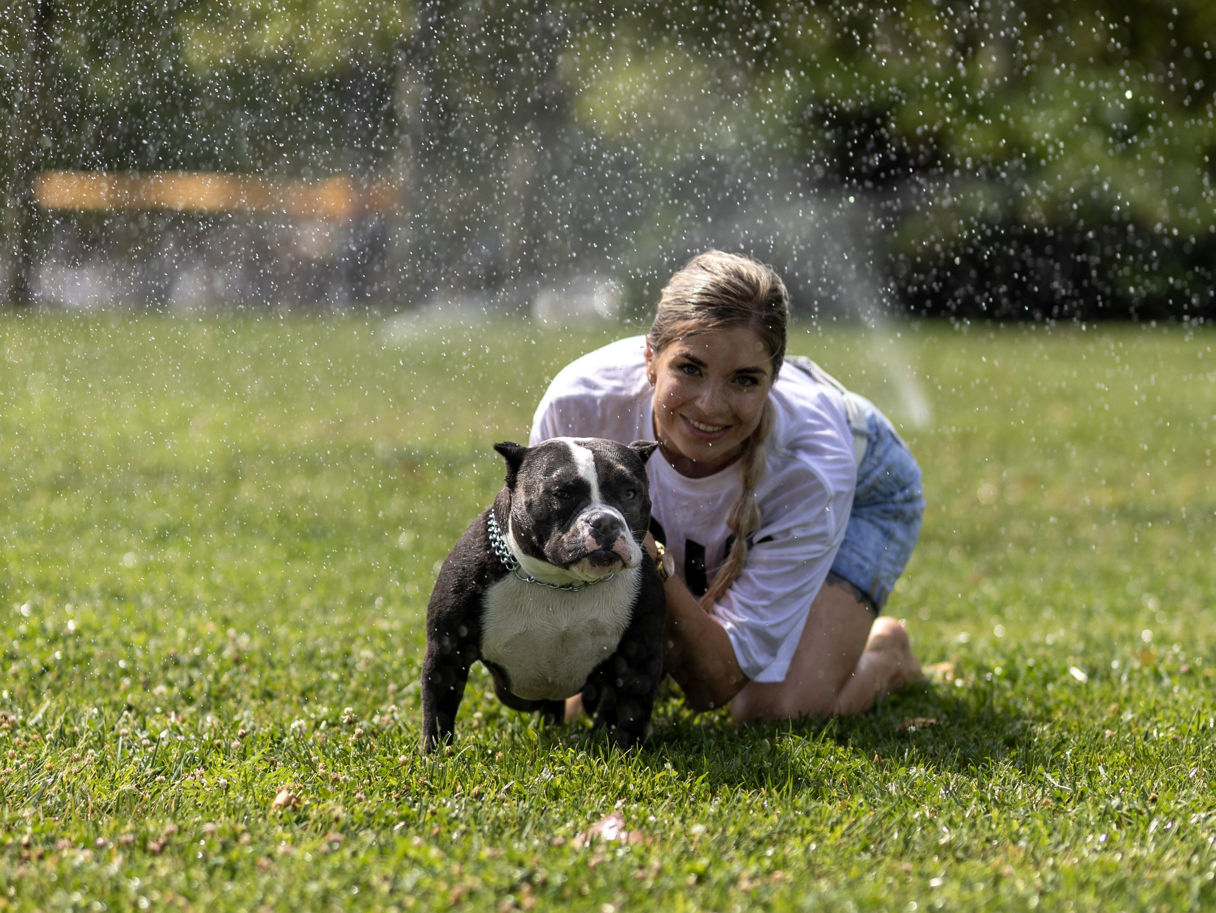 Марси и Катя. Фотограф-анималист в Москве Кириллова Татьяна