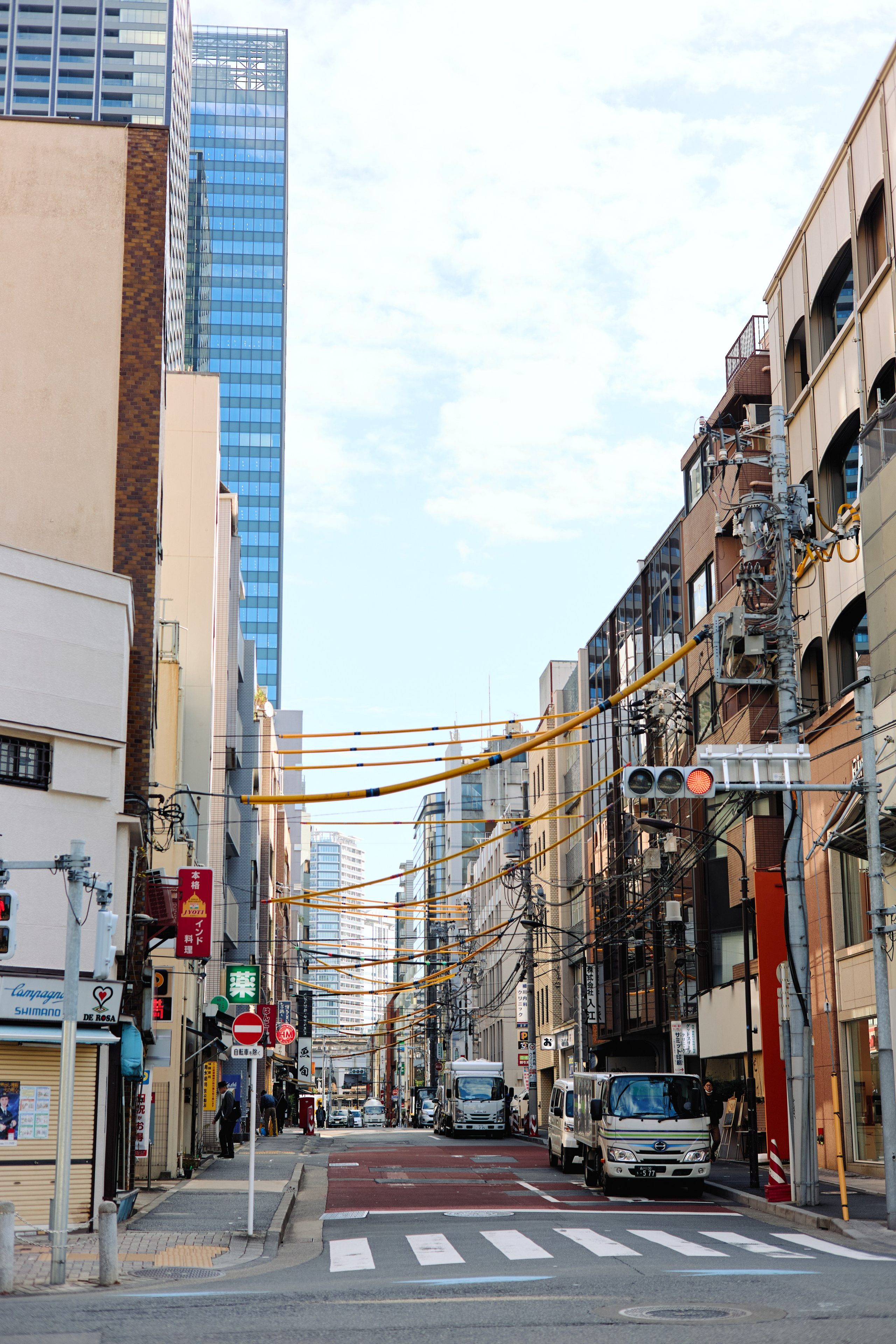 Япония. Профессиональный Фотограф во Владимире, в Москве и в Суздале — Полина Романычева