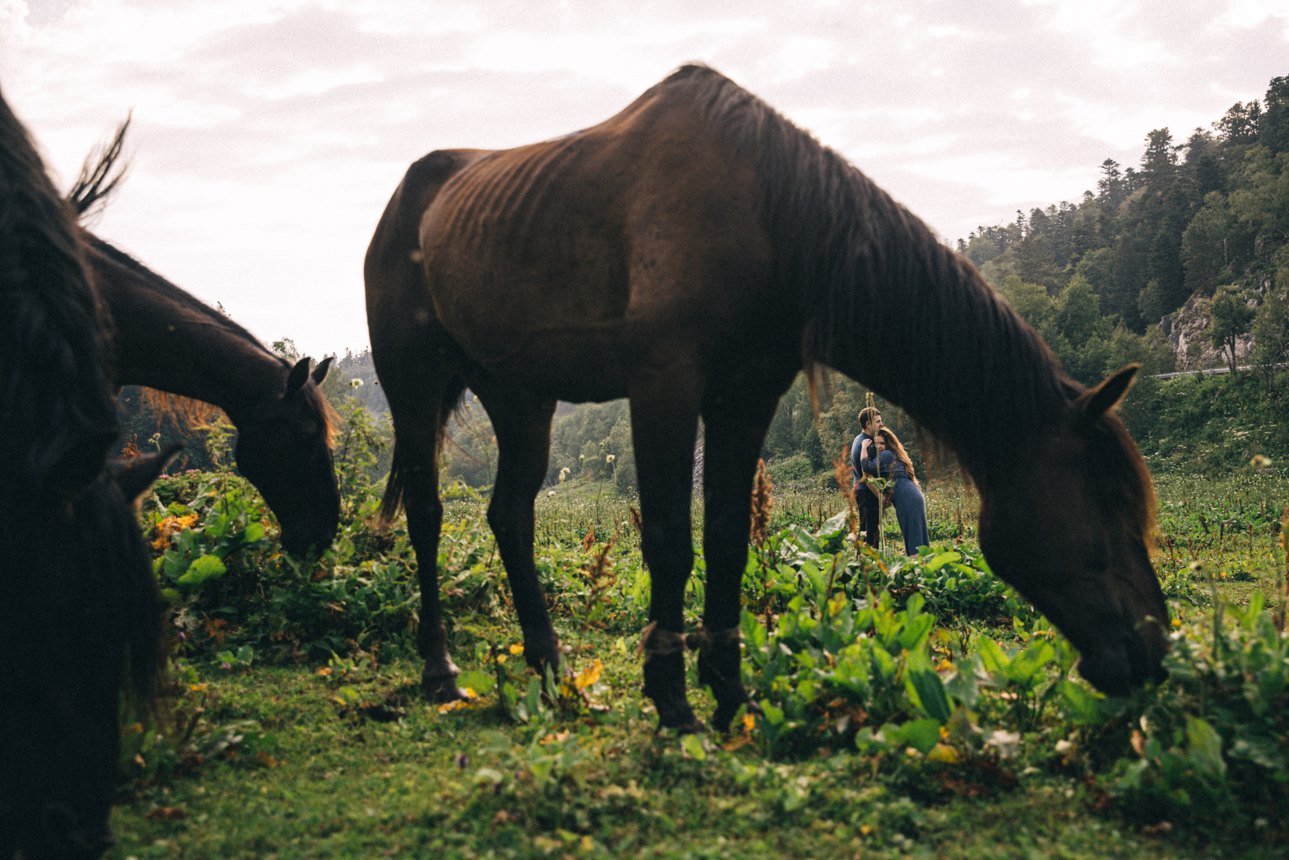 Это был дождь. Свадебный и семейный фотограф Харольцева Наталья