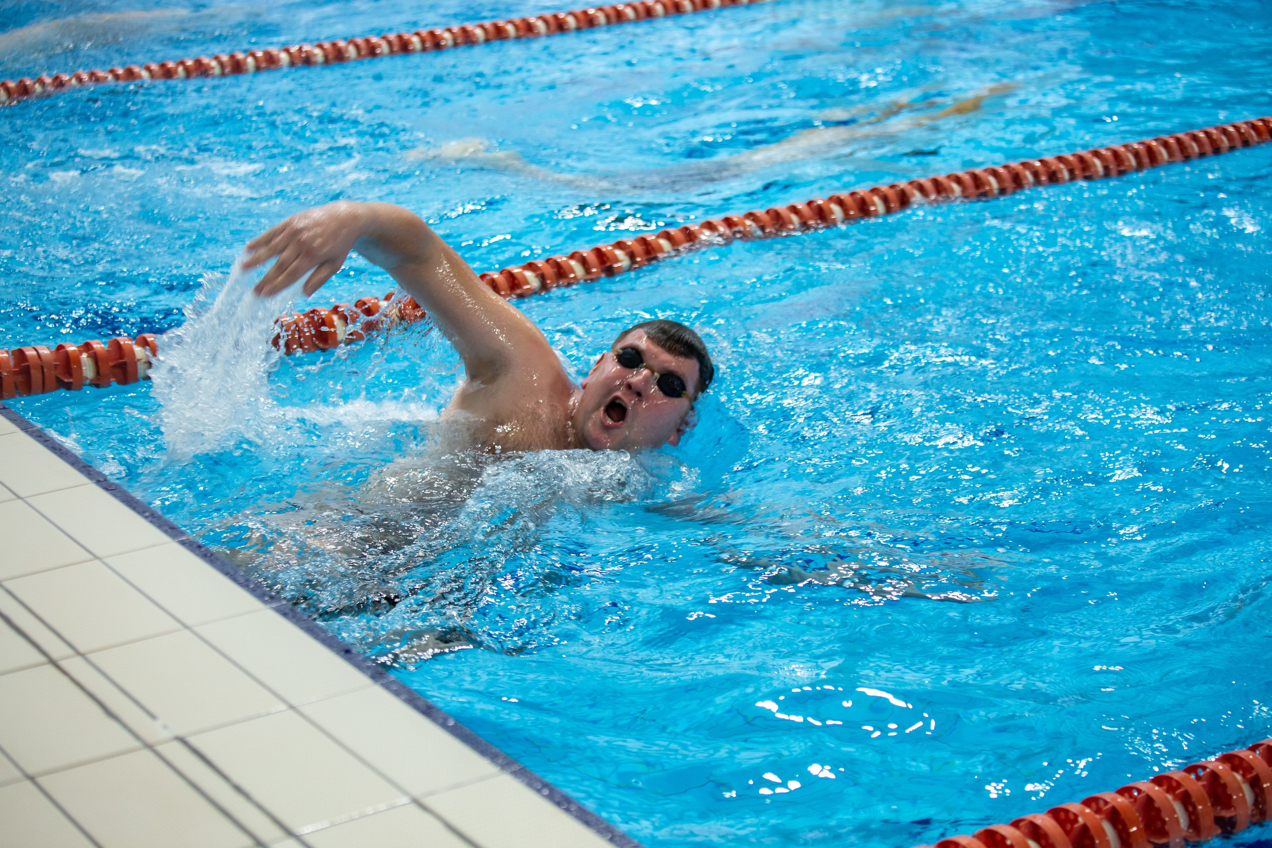 Турнир по плаванию. Репортажный, семейный, свадебный, портретный фотограф