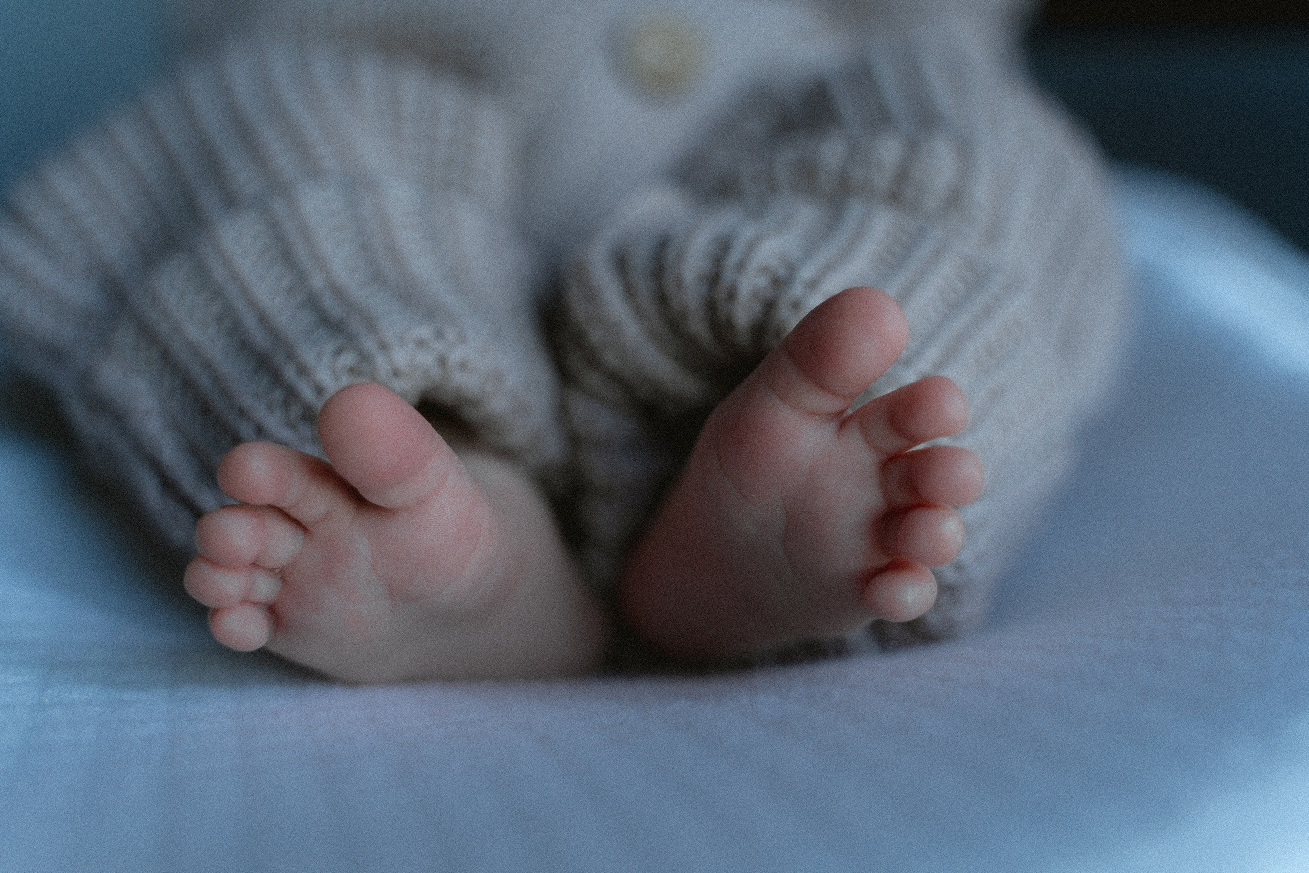 Фотосъемка Семейная история — заказать комплекс 3-х услуг фото и видео. Фотографы на роды в Москве. Фото и видео родов. Фотопроект «Продолжение рода»