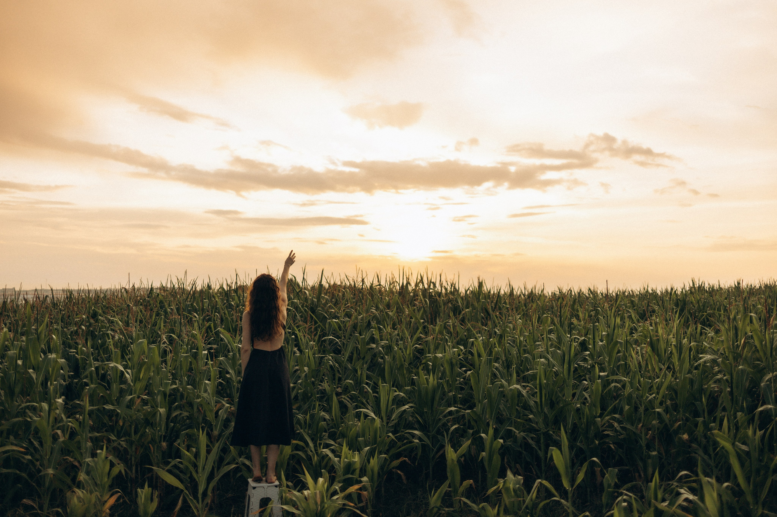 Фотосессия в кукурузном поле. Семейный фотограф в Ижевске Даша Денисова
