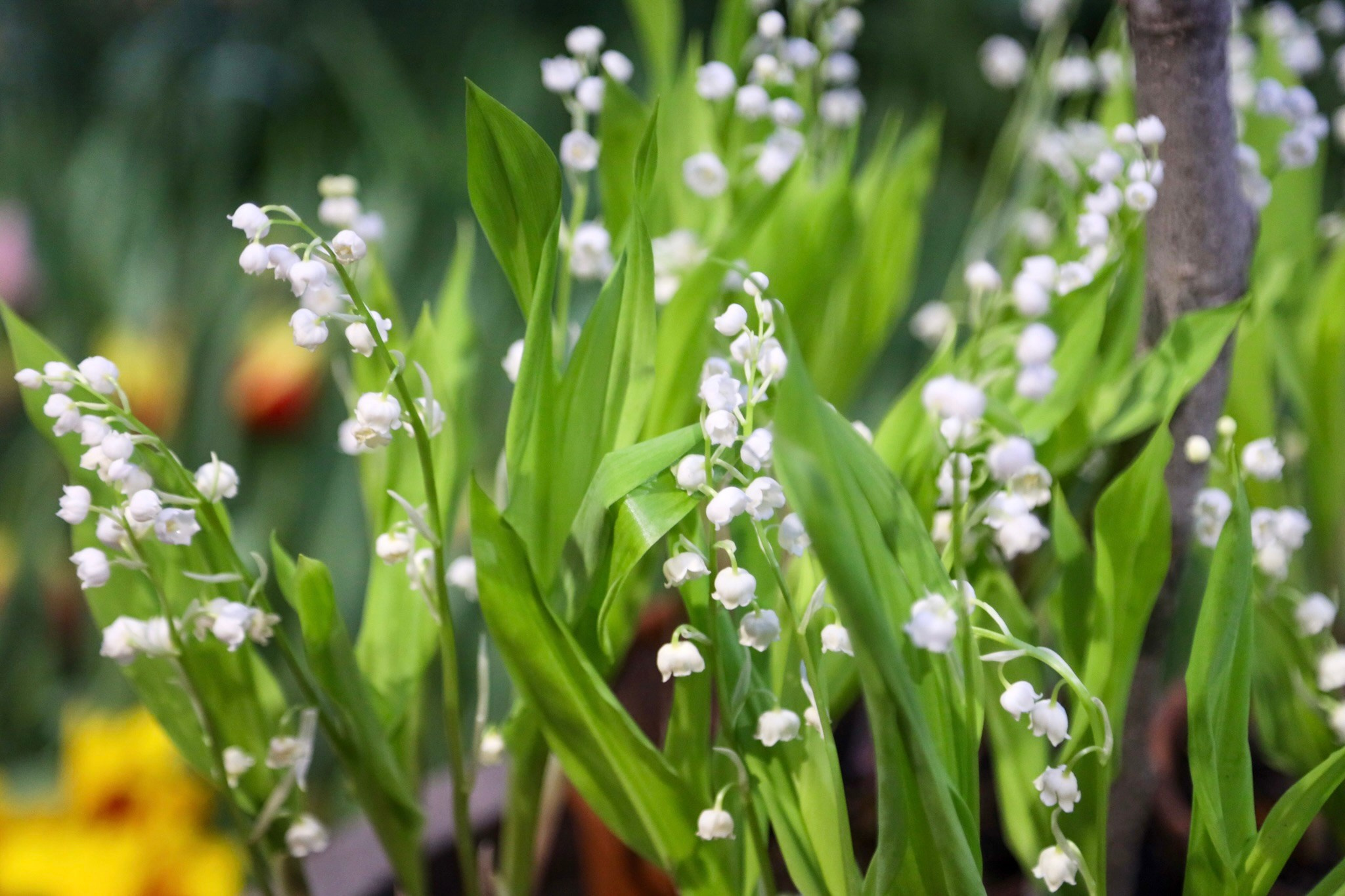 Фотографии с выставки Репетиция весны. Фотосессии и репортаж — Фотограф в Москве — Рина Серёгина