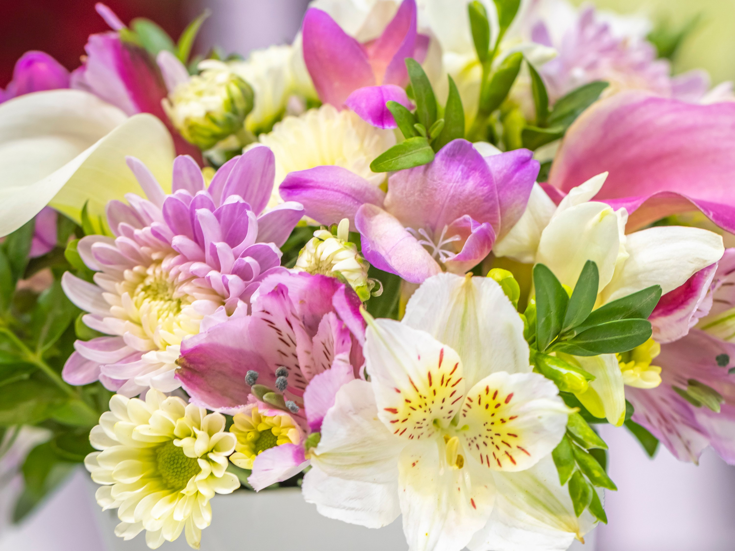 Цветы-Экспо 2023. Фотосессии и репортаж — Фотограф в Москве — Рина Серёгина