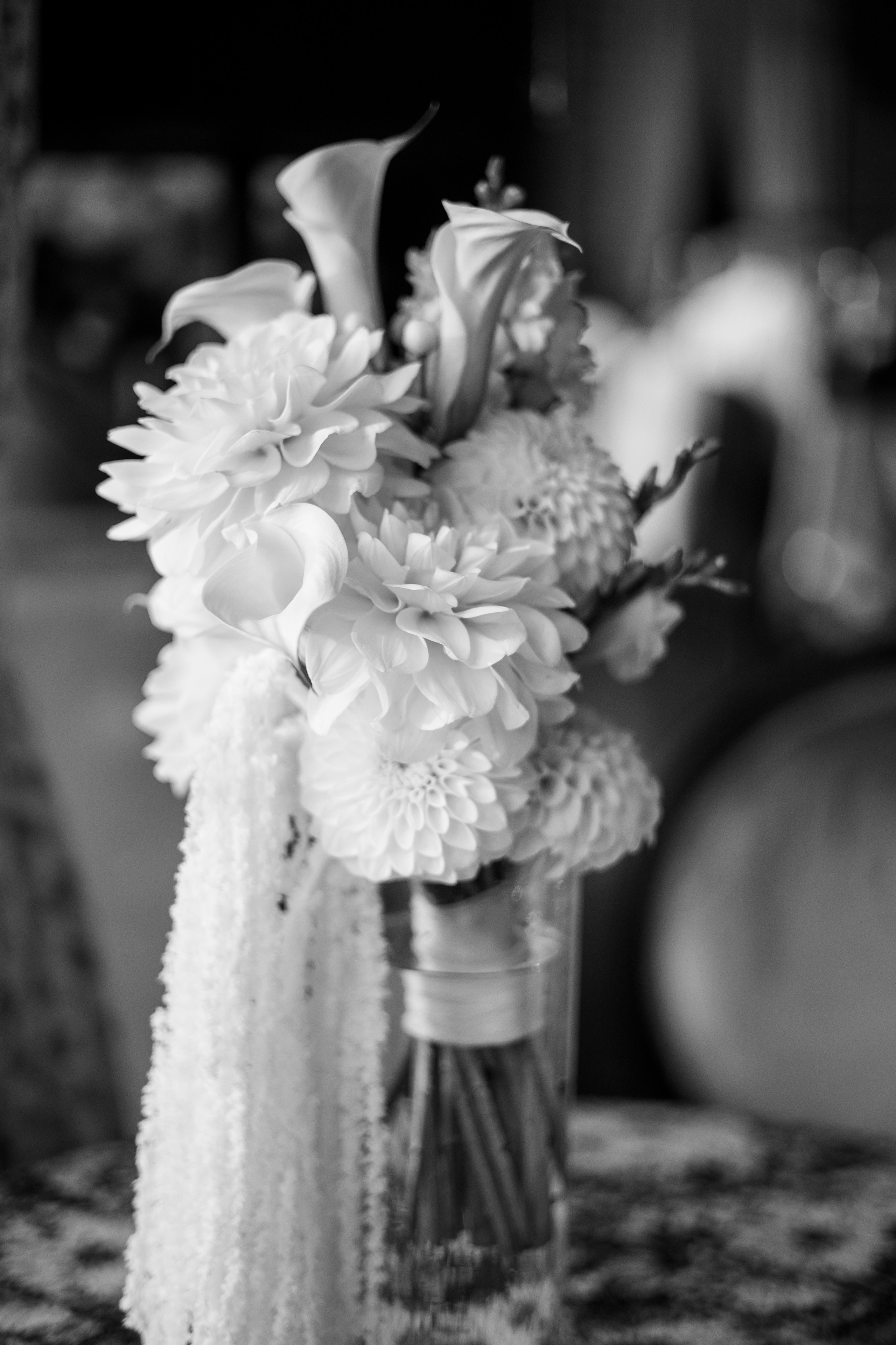 Роман и Ксения. Nikolpinhasova