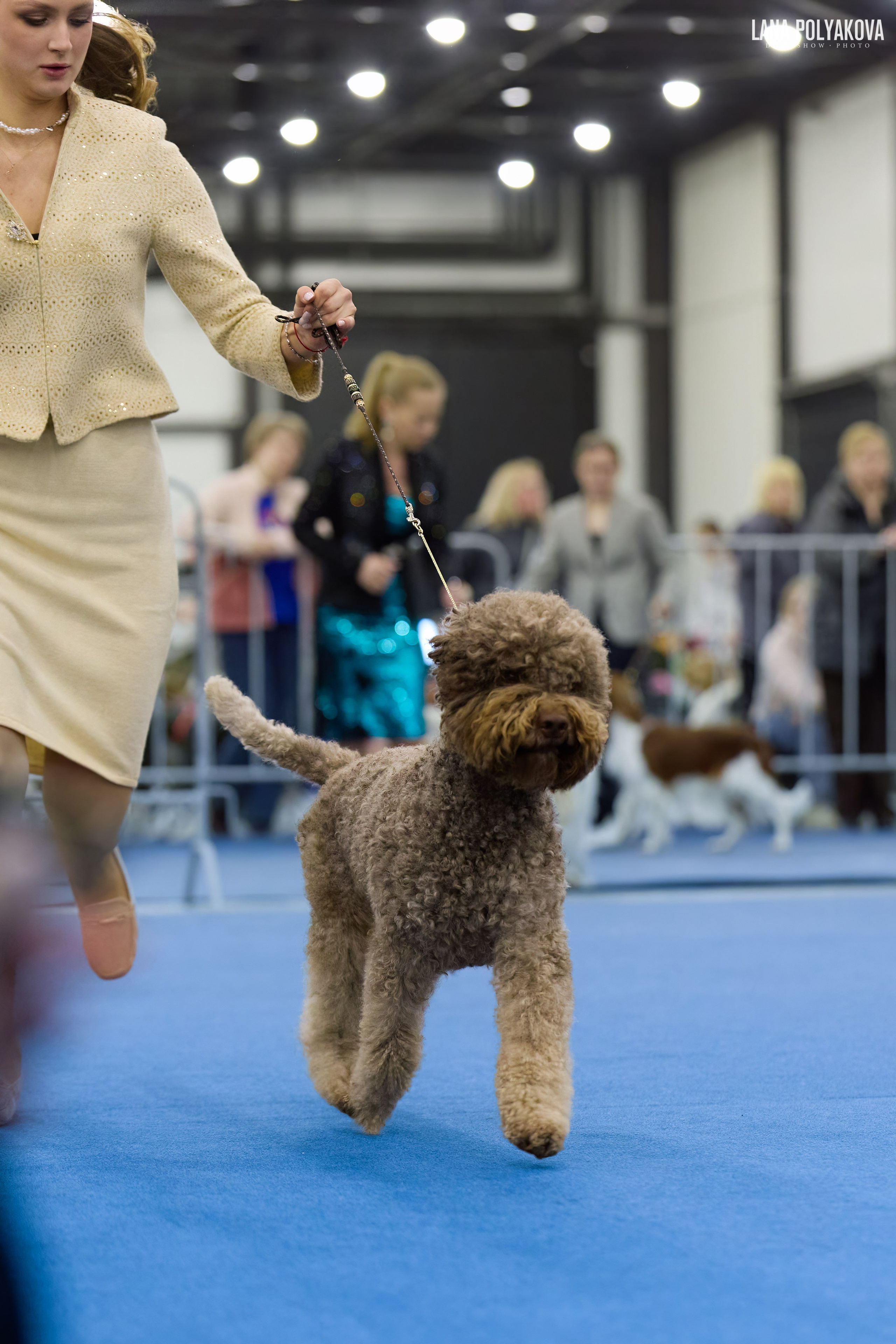 ГРАН ПРИ ВЕСЕННИЙ ПЕТЕРБУРГ 2026. ФОТОГРАФ-АНИМАЛИСТ l LANA POLYAKOVA