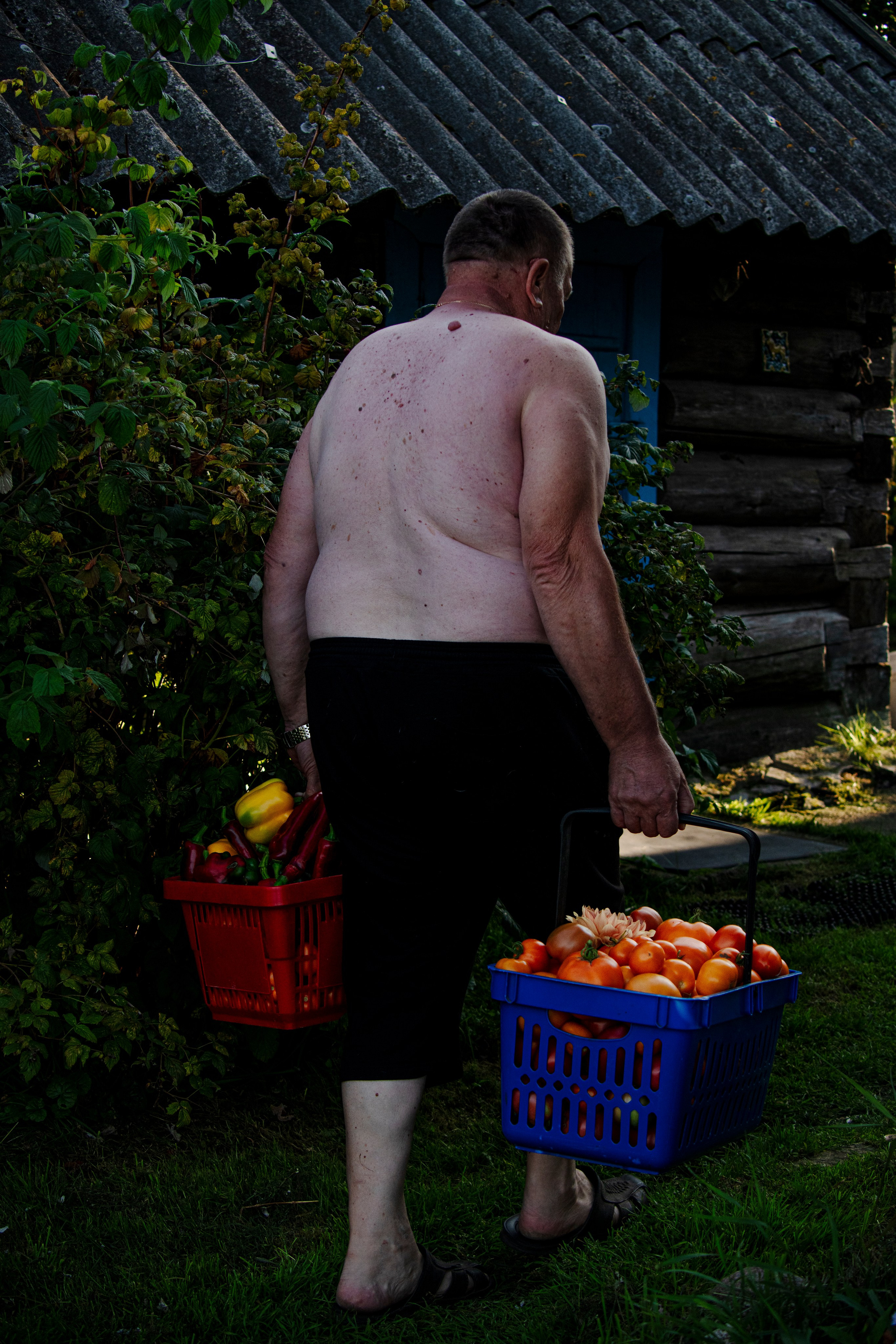 Цветные фотографии. Фотографии Лены Соколовой