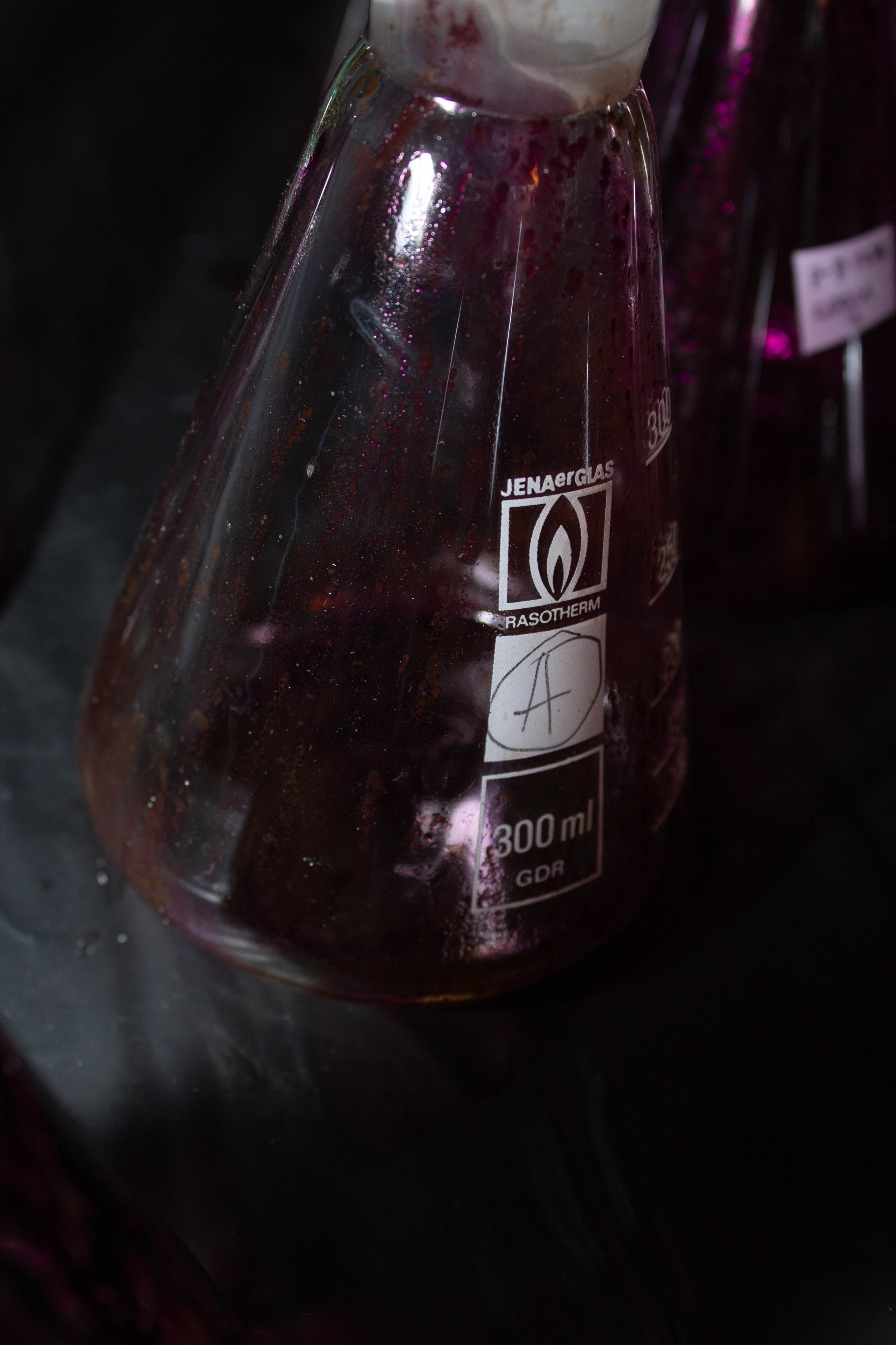 Ненаучка 2024. Карпогоры, Санкт-Петербург