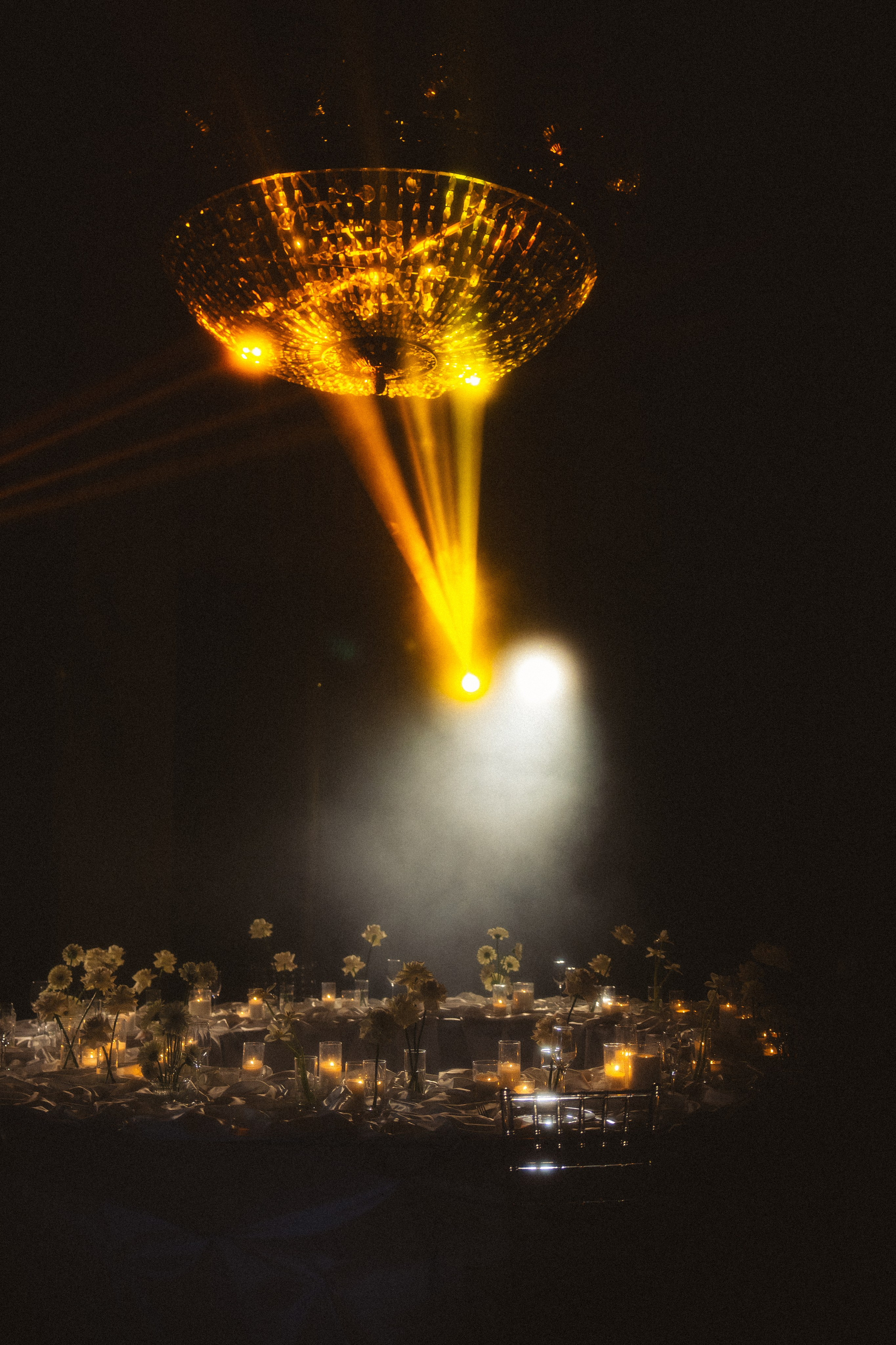 Вероника & Максим. Phdkvmr.ru