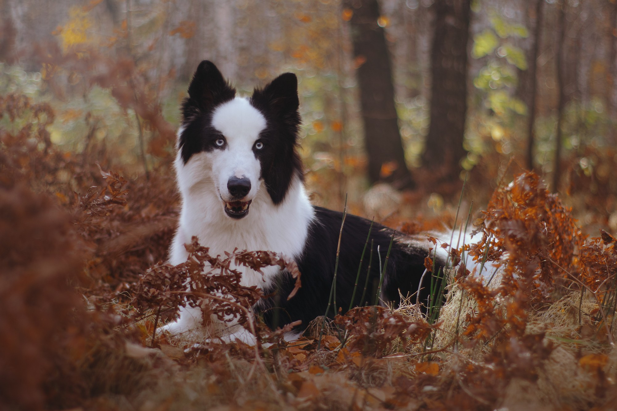 Ликёр. Фотограф в Тюмени Лизавета Сапицкая