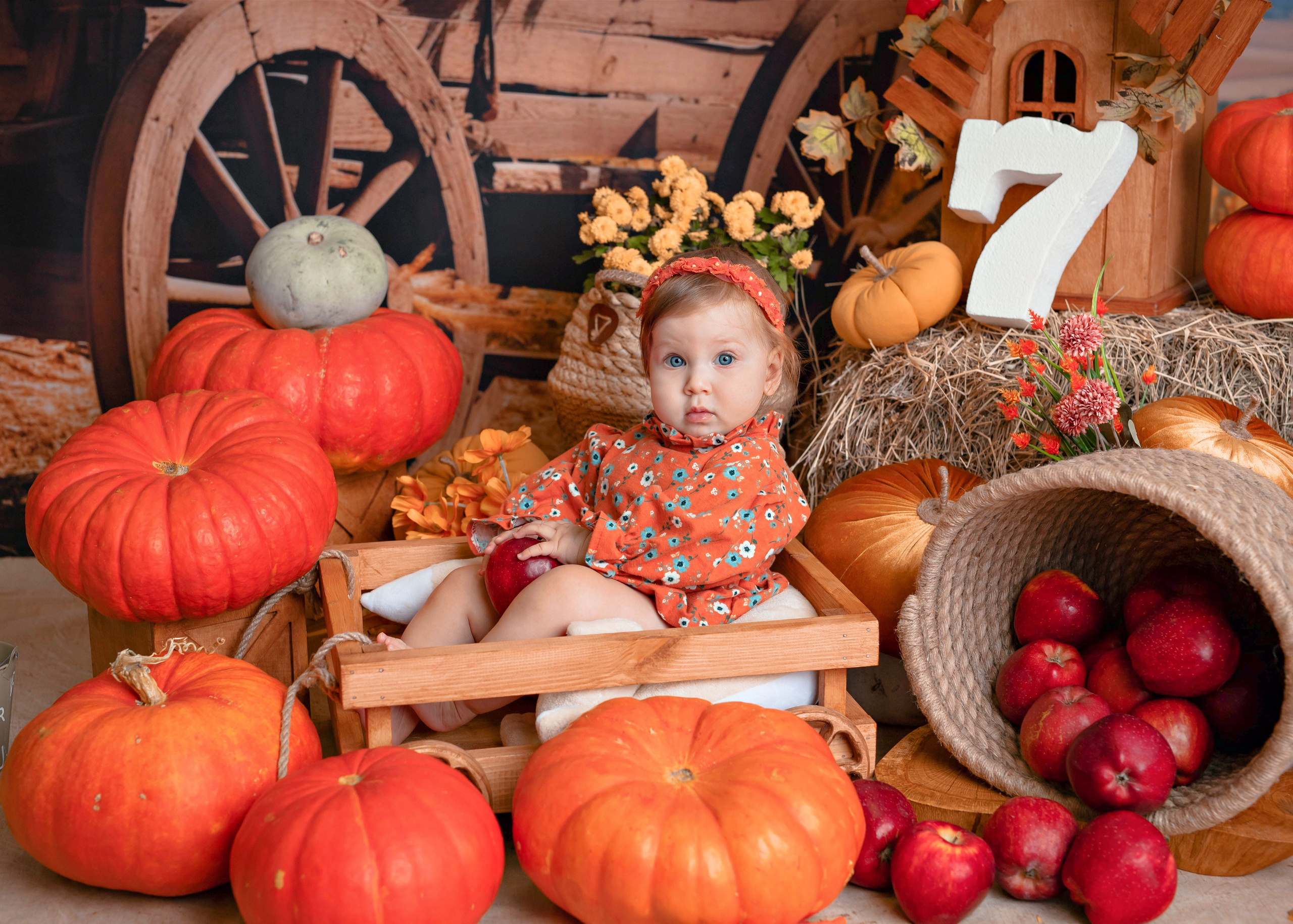 Тыквы. Фотограф Болотова Иветта