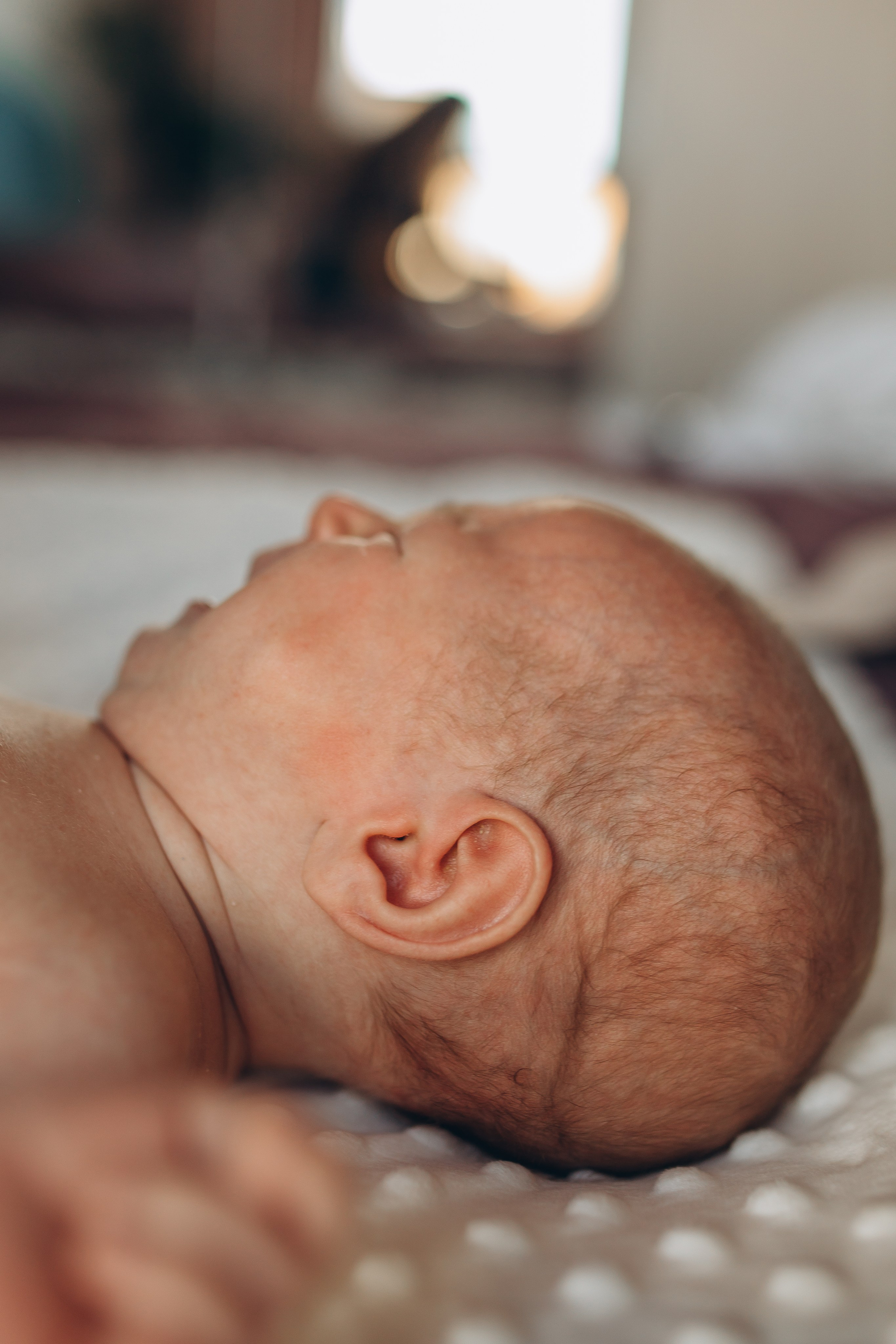 Новорождённые и малыши. Семейный фотограф Маруся Самылкина в Санкт-Петербурге