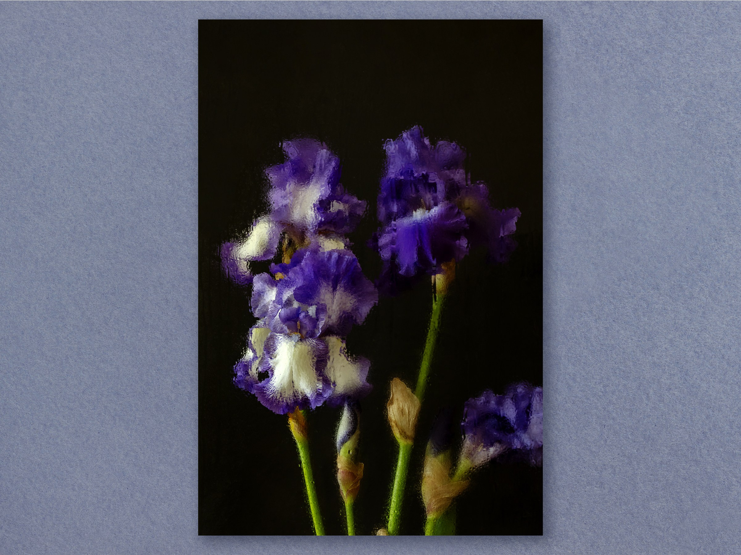 Cold Bloom. Author’s fine art prints with international delivery