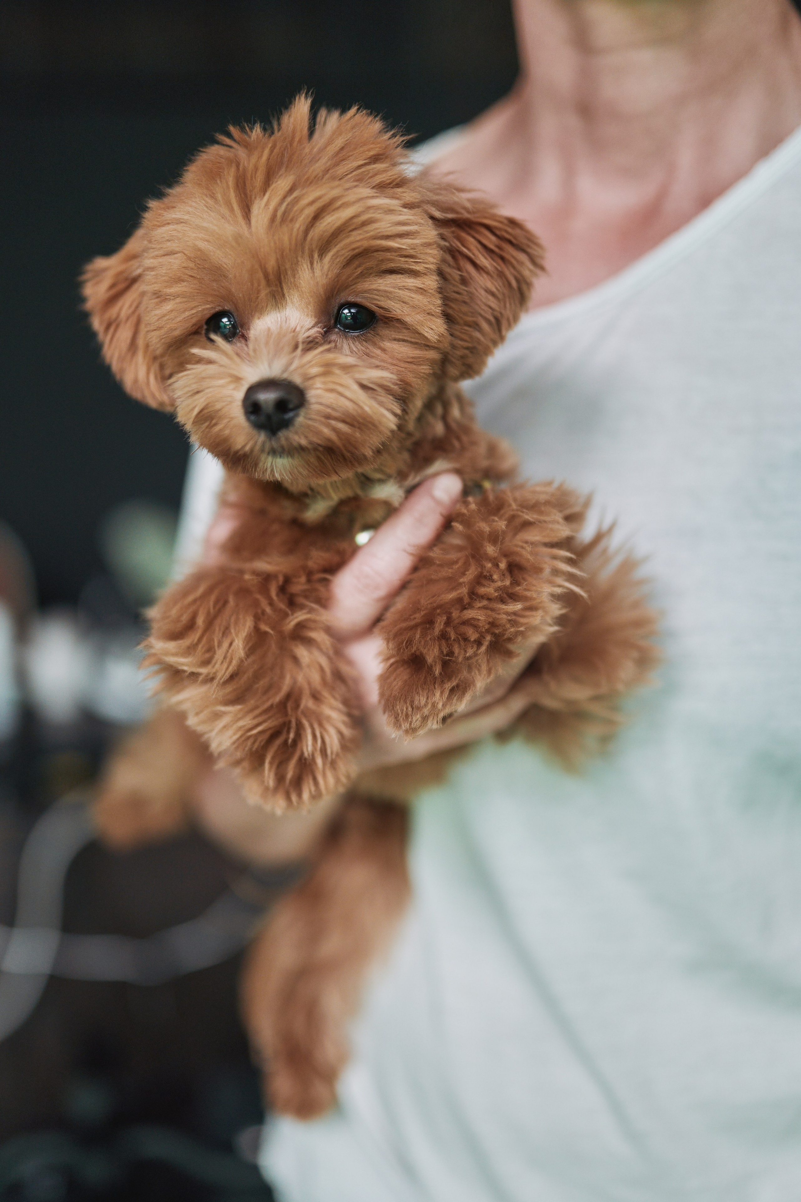 Андромеда (фильм). Евгений Бреча. Коммерческий и бэкстейдж фотограф в Москве