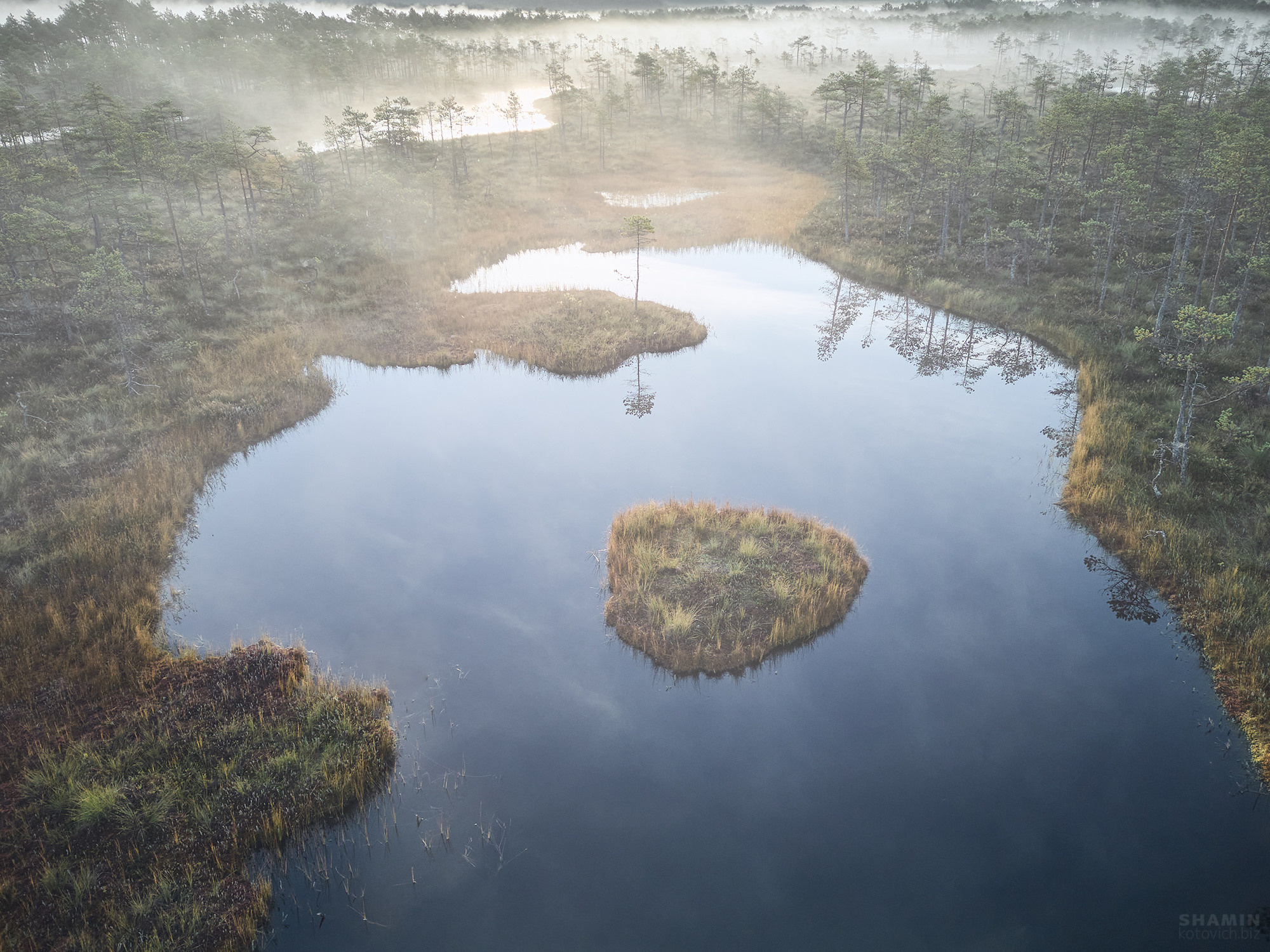 365 (2022 год). Фотограф Константин Шамин