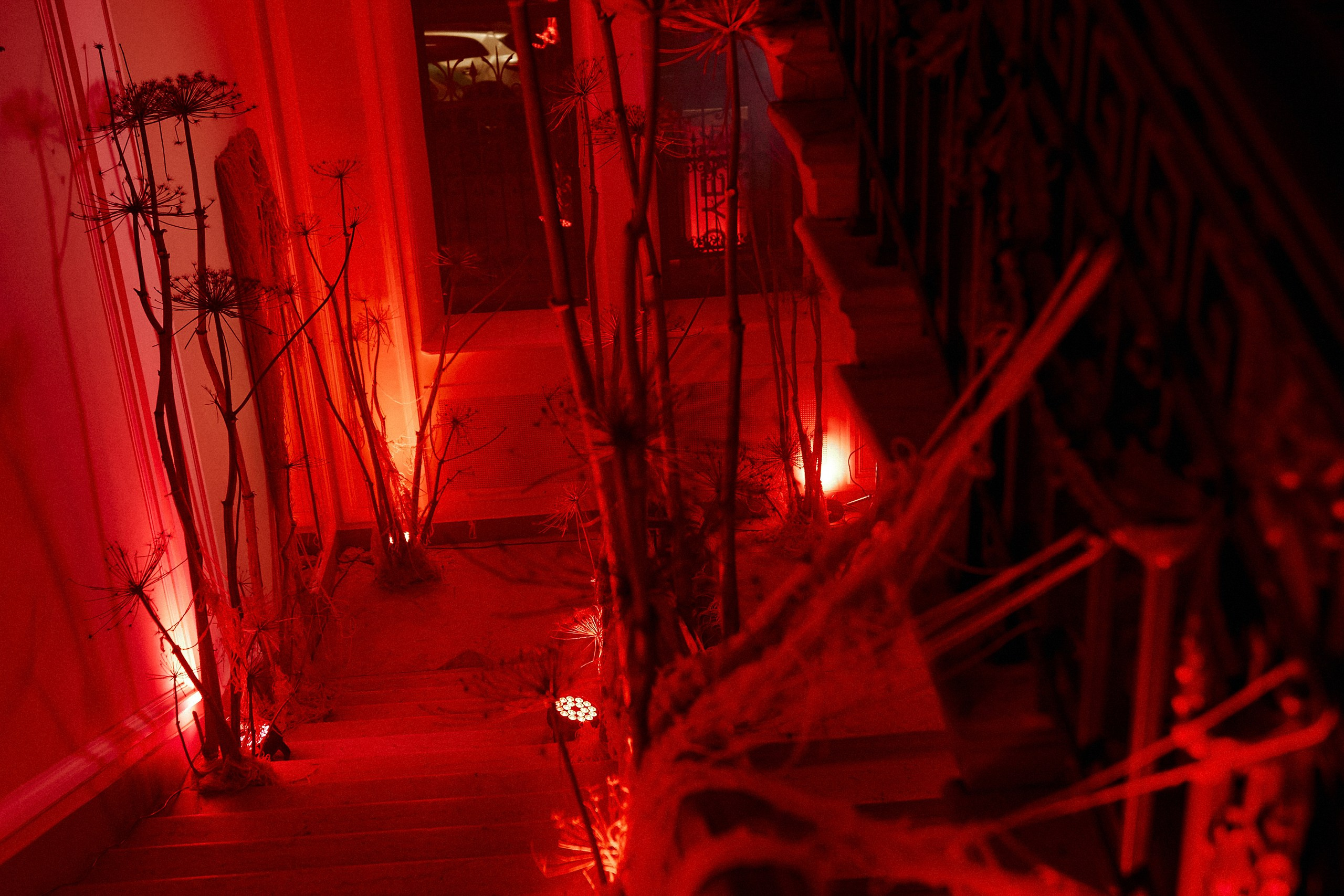 10 Years Park by Osipchuk. Photographer — ERASTOV