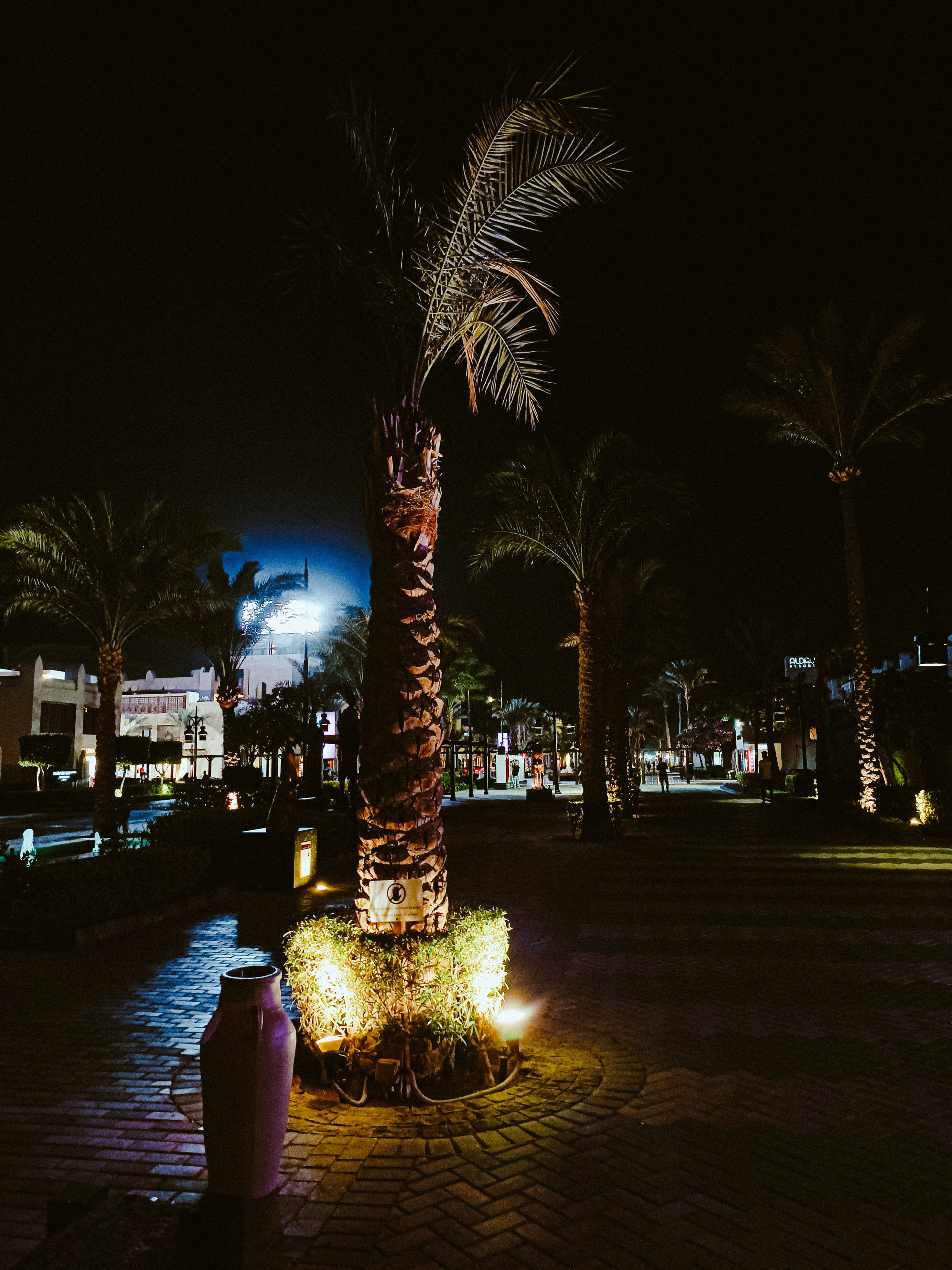 Мобильная. Jorgis — фотограф в Хургаде / обучение фотографии